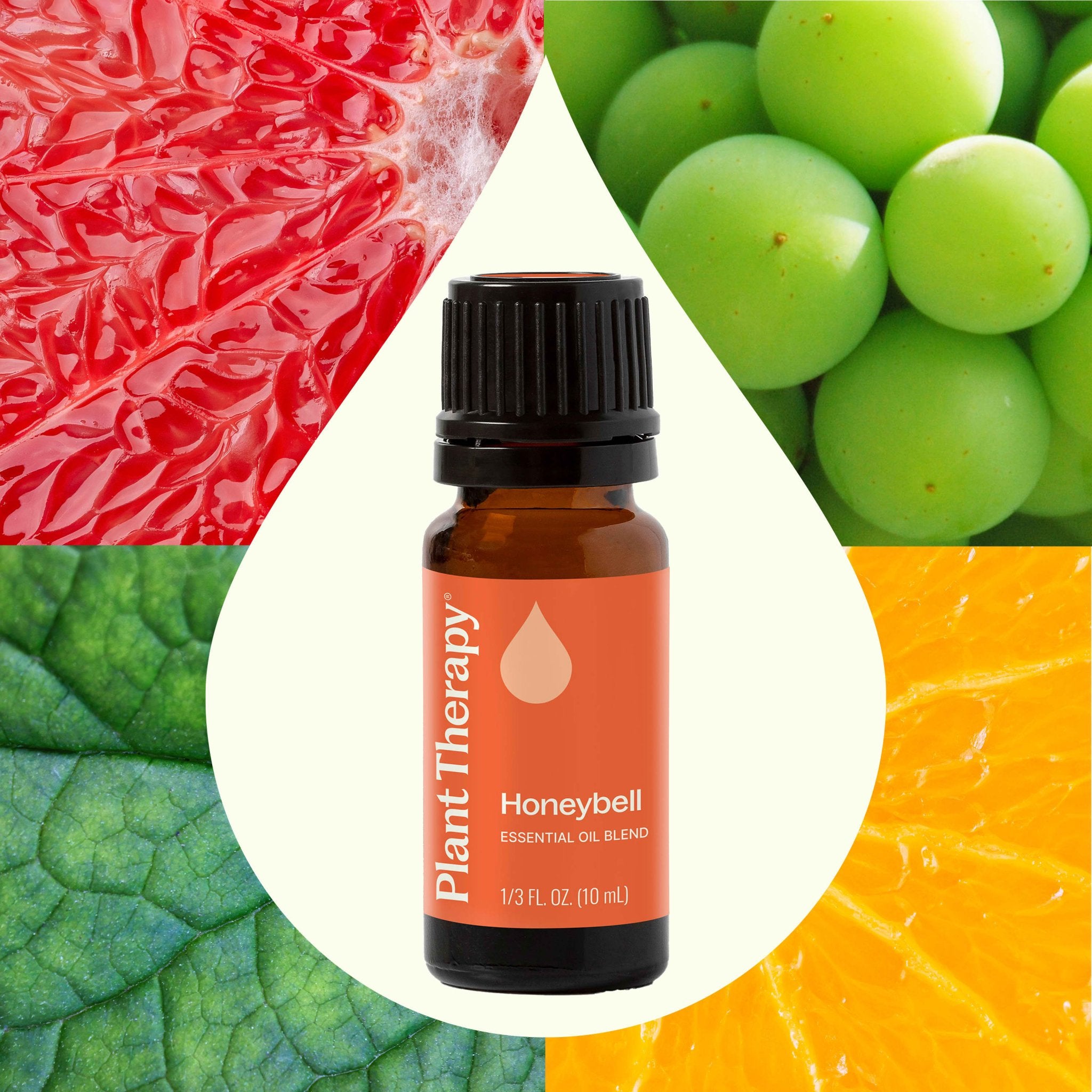 Honeybell Essential Oil Blend Plant Therapy
