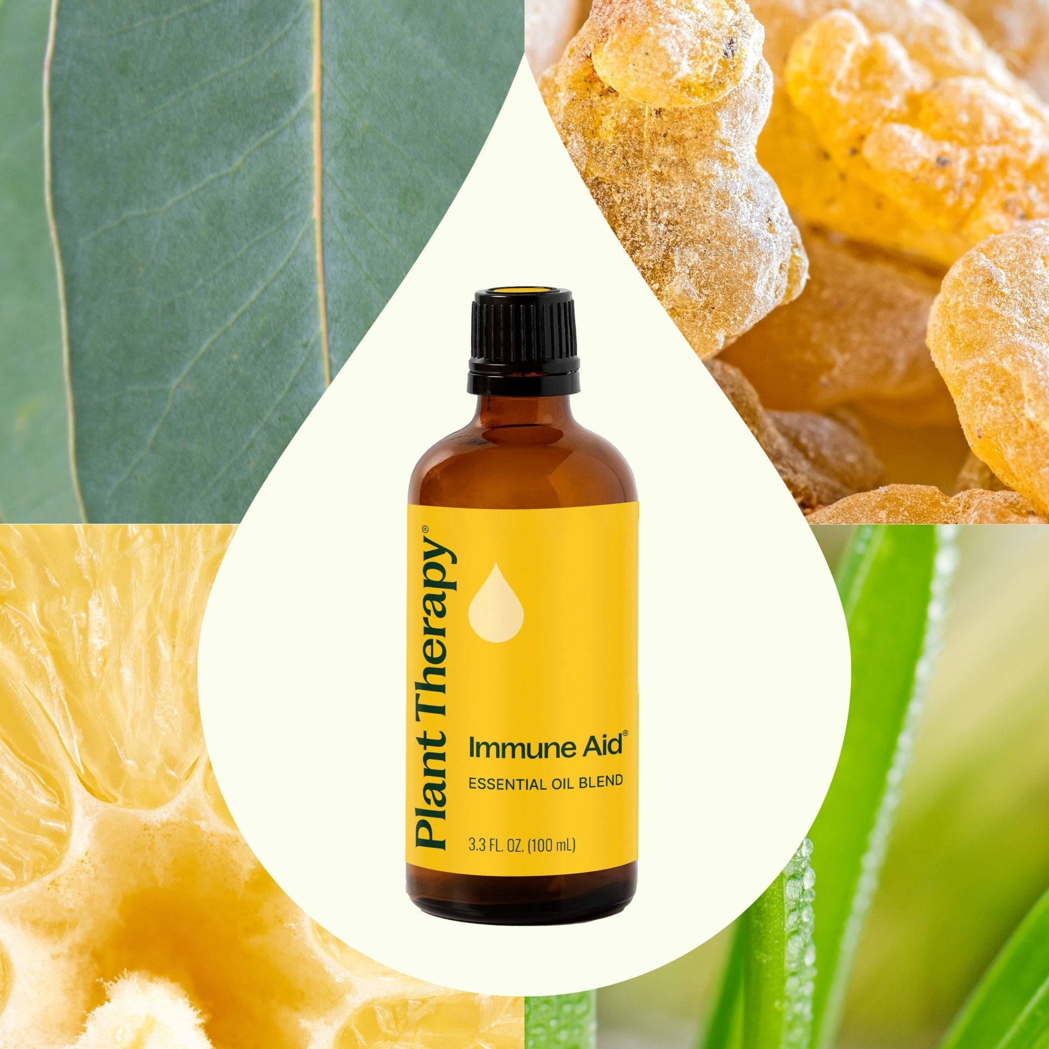 Immune Aid Essential Oil Blend Plant Therapy