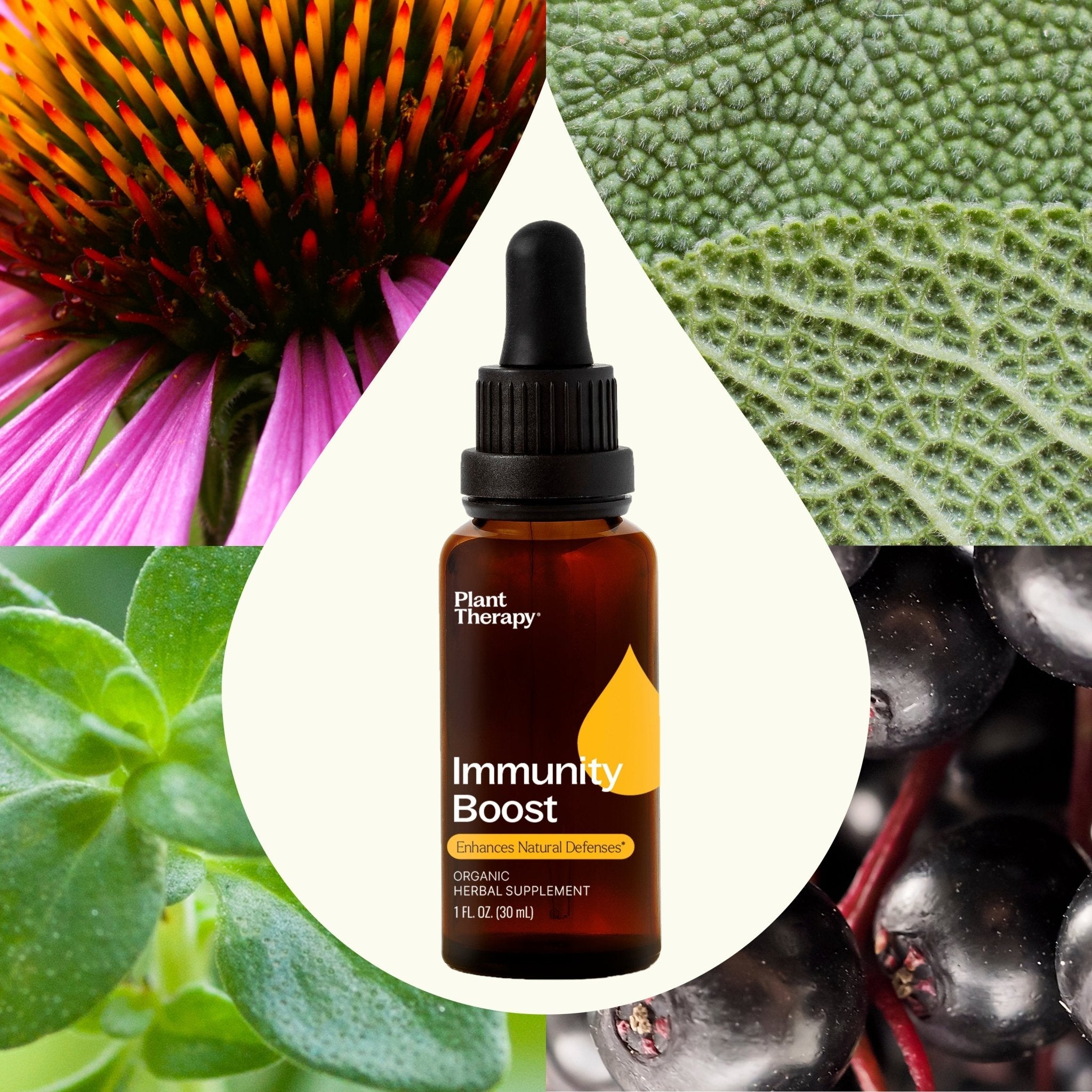 Immunity Boost Organic Herbal Supplement Plant Therapy