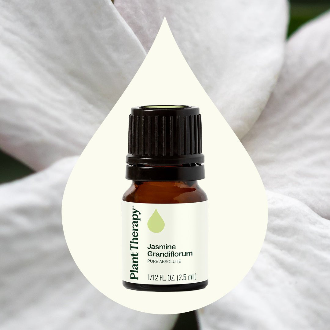 Jasmine Grandiflorum Absolute Plant Therapy