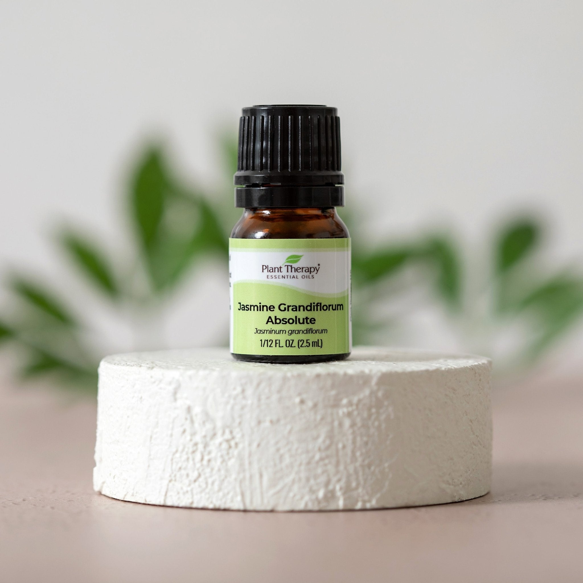 Jasmine Grandiflorum Absolute Plant Therapy