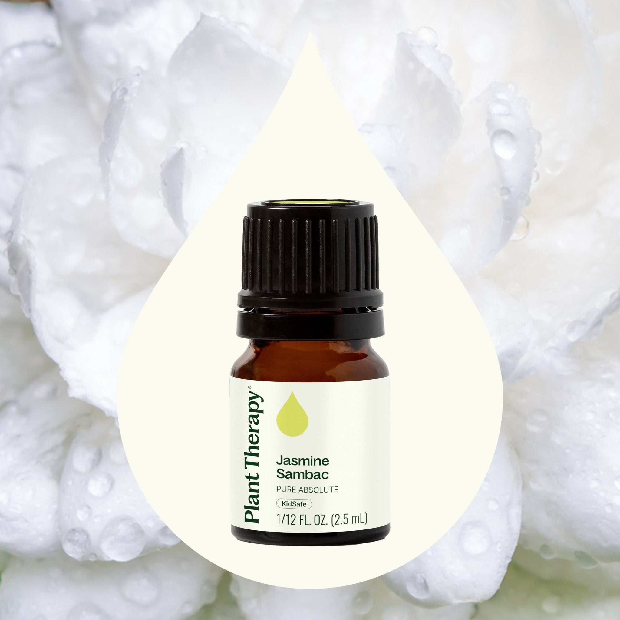 Jasmine Sambac Absolute Plant Therapy