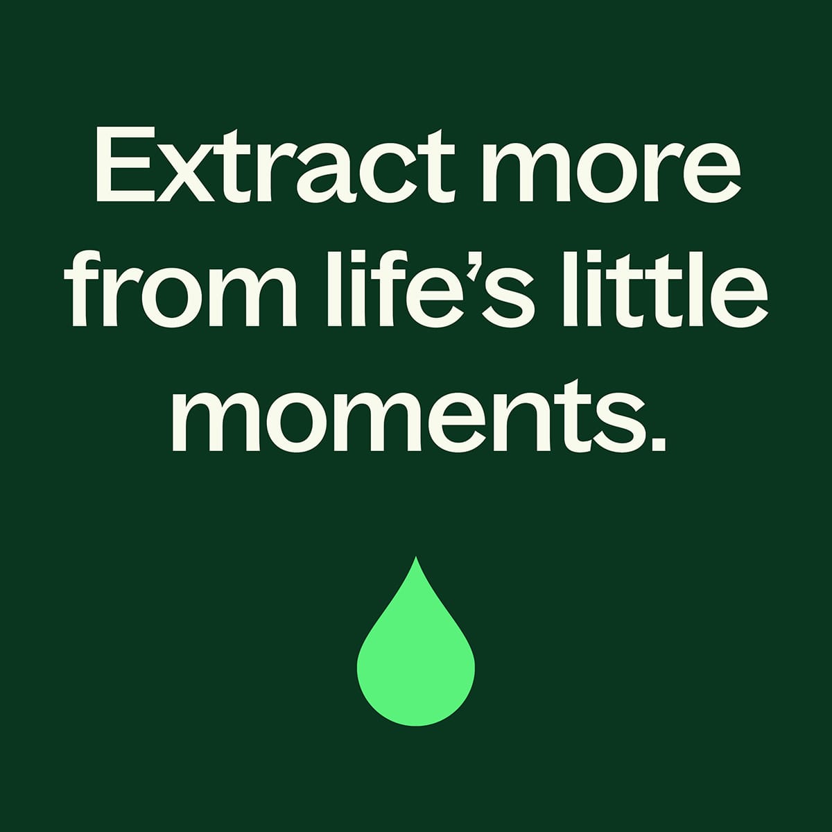 Joyful Creation (Sacral Chakra) Essential Oil Plant Therapy