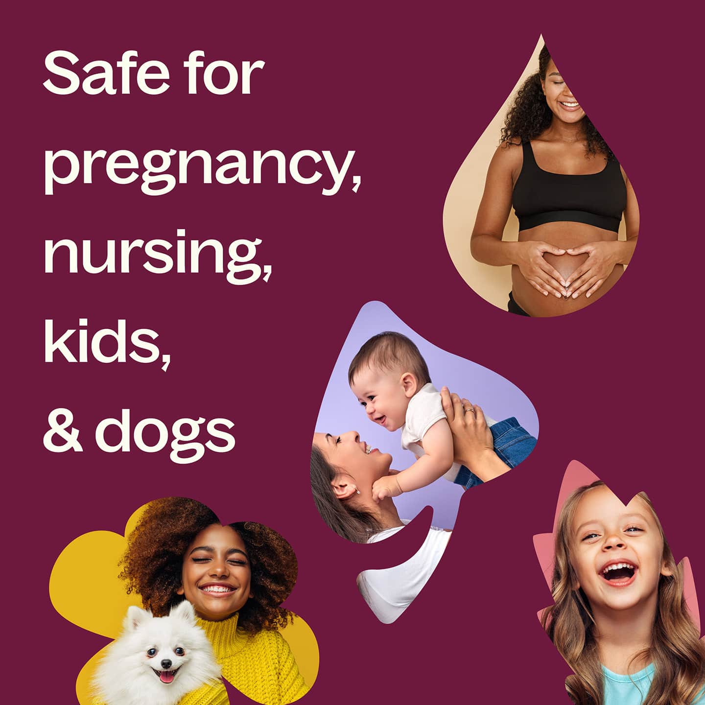 Joyful Creation (Sacral Chakra) Essential Oil Plant Therapy