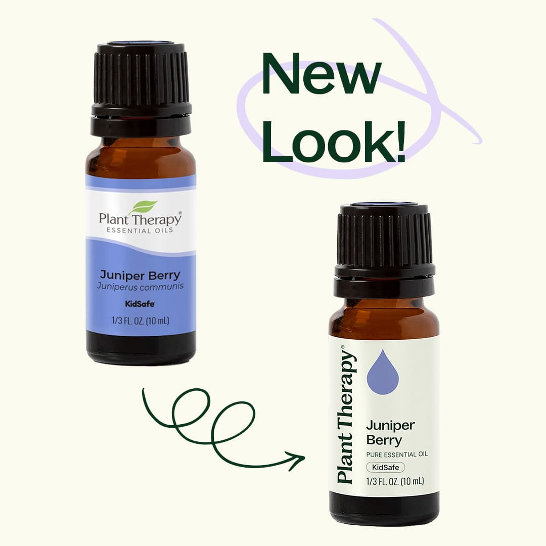 Juniper Berry Essential Oil Plant Therapy