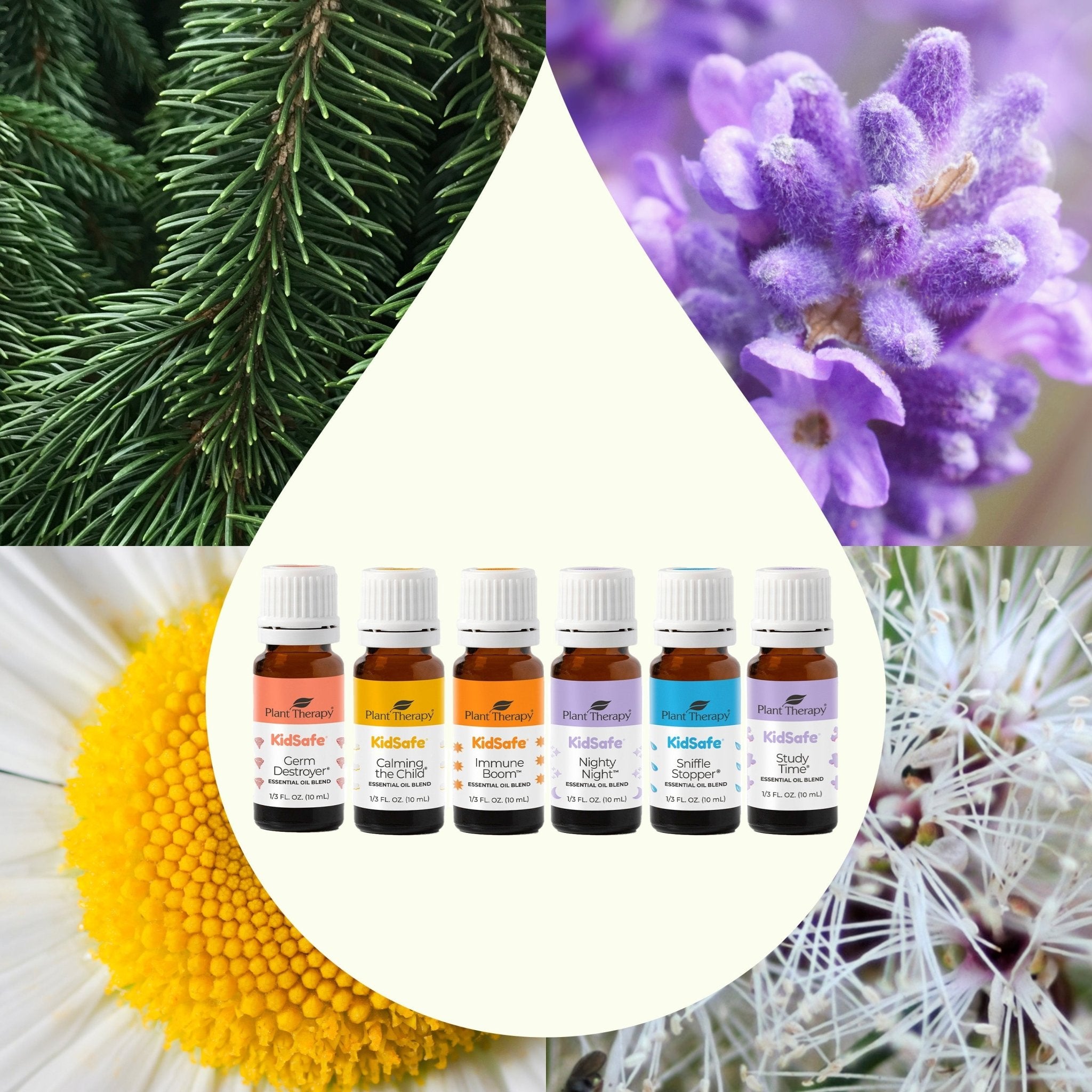 KidSafe Starter Pack 10 mL Plant Therapy