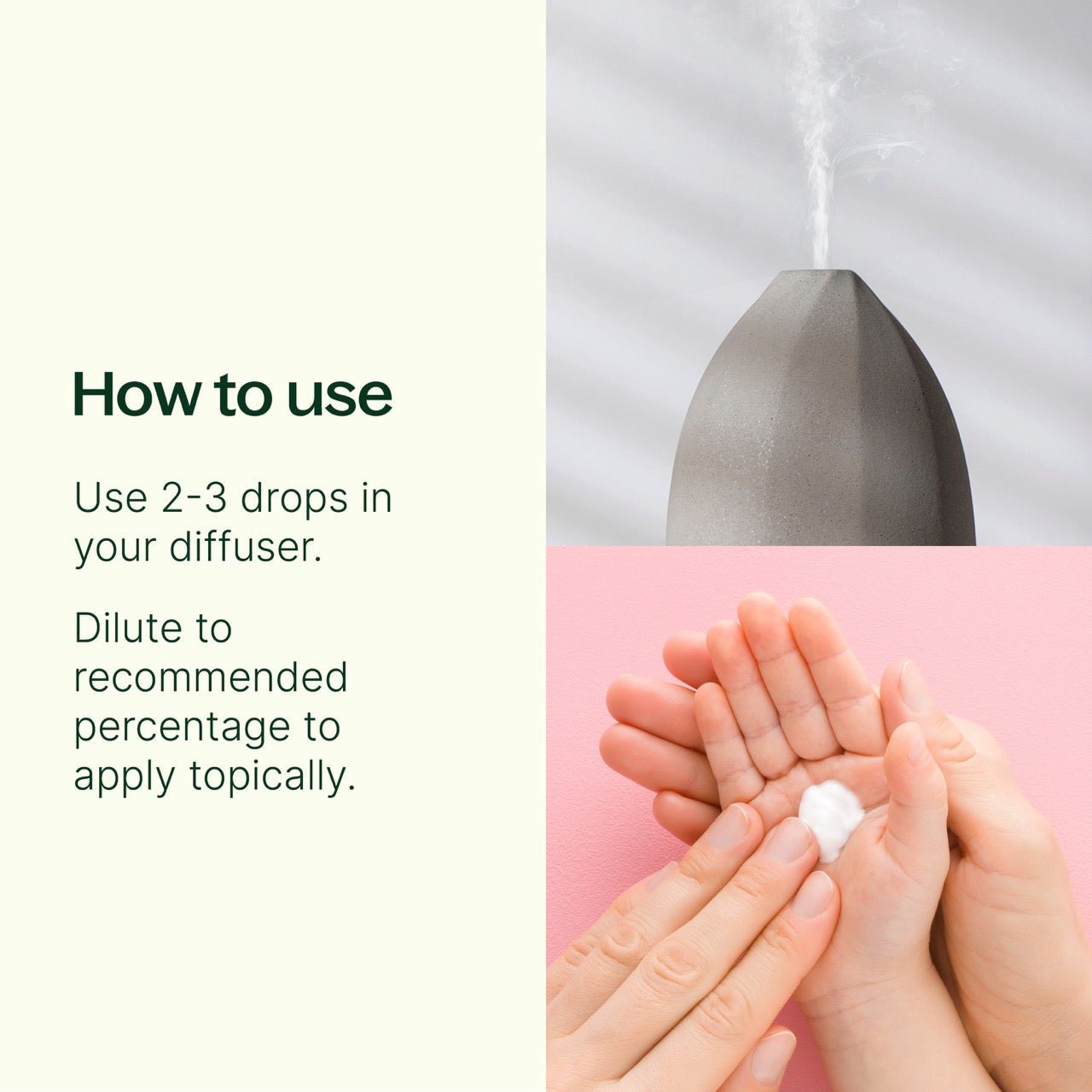 KidSafe Starter Pack 10 mL Plant Therapy