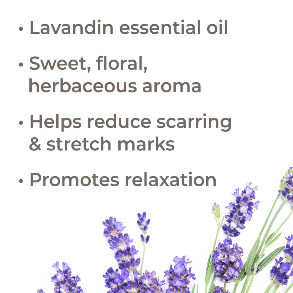 Lavandin Essential Oil Plant Therapy