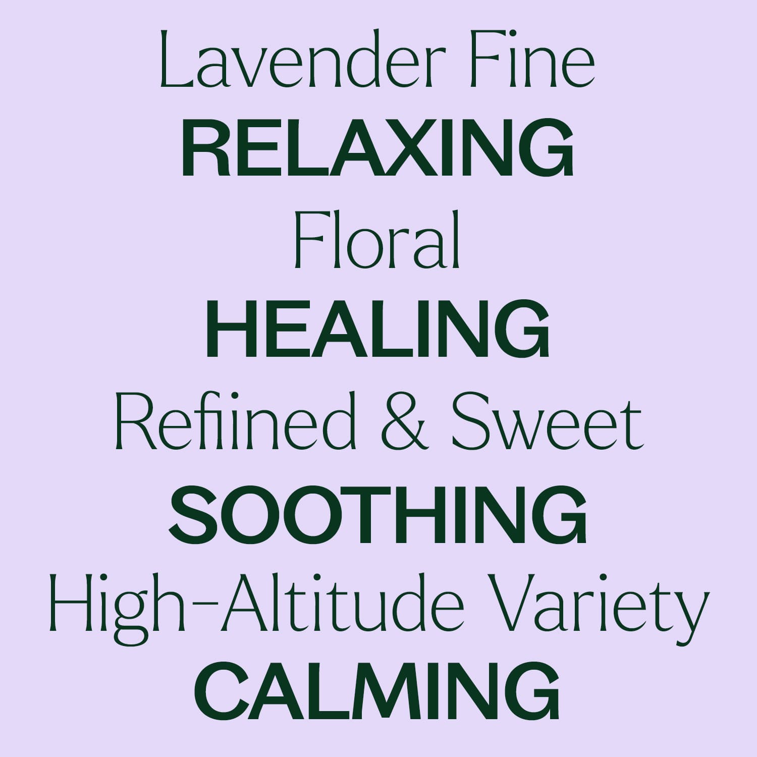 Lavender Fine Essential Oil Plant Therapy