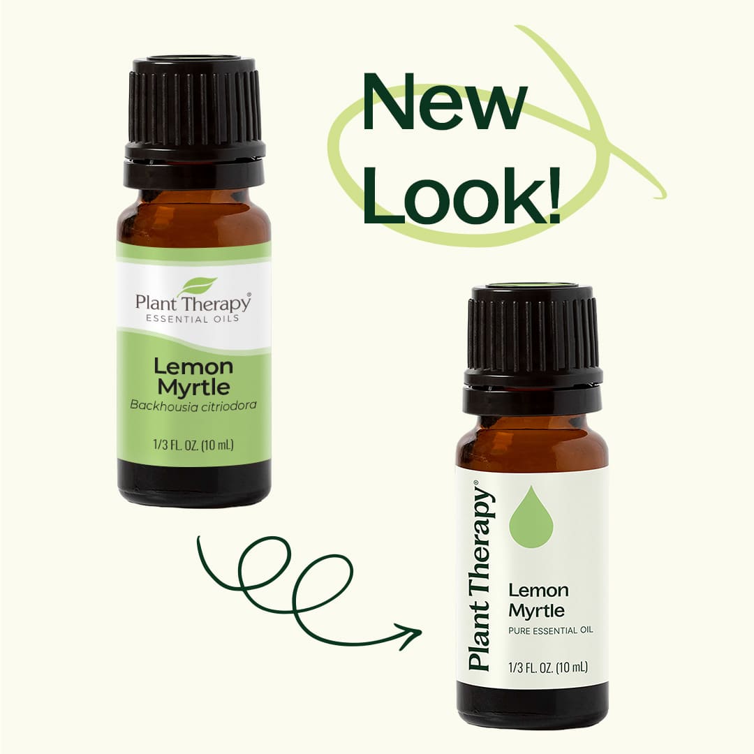 Lemon Myrtle Essential Oil Plant Therapy