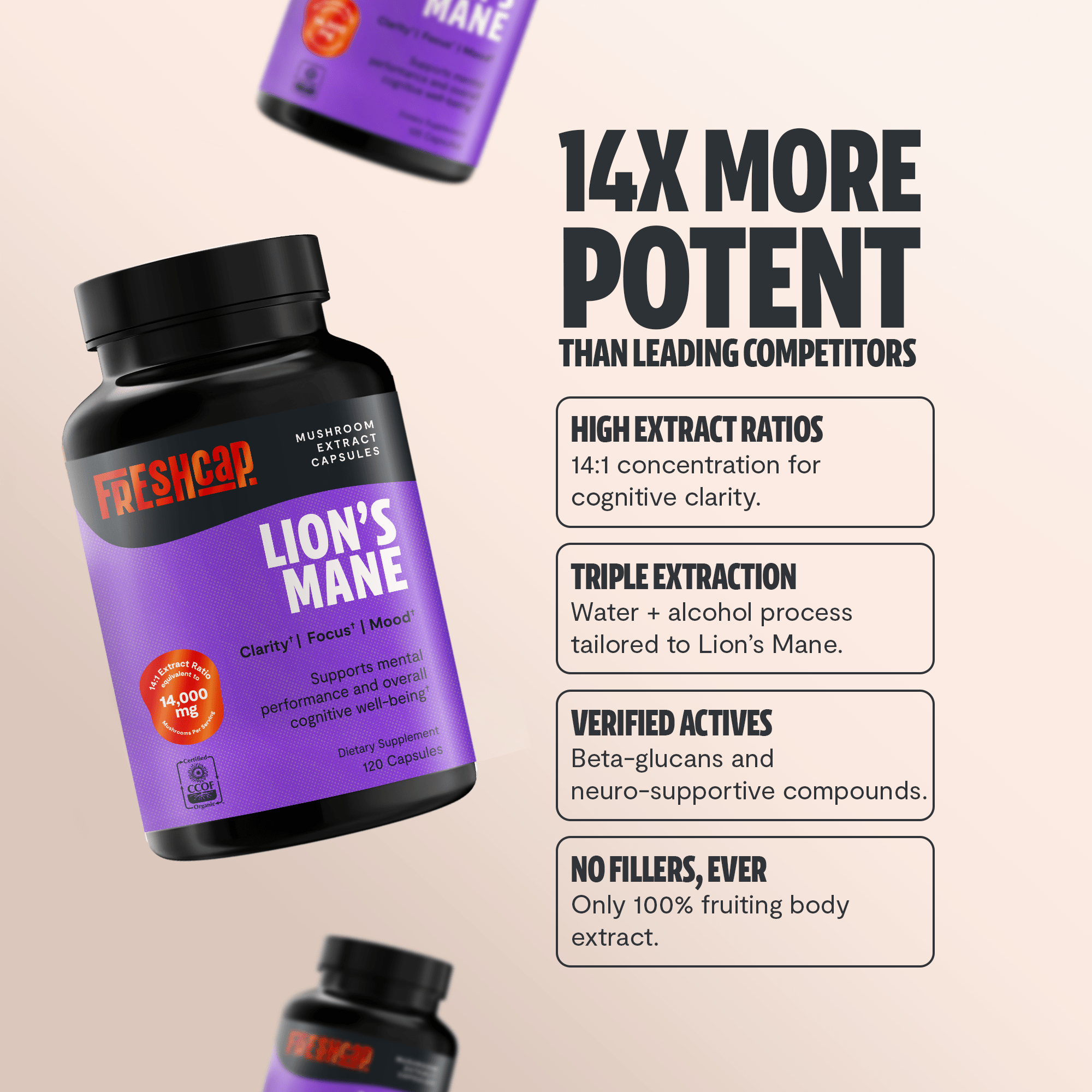 Lion's Mane Mushroom Extract Capsules FreshCap Mushrooms