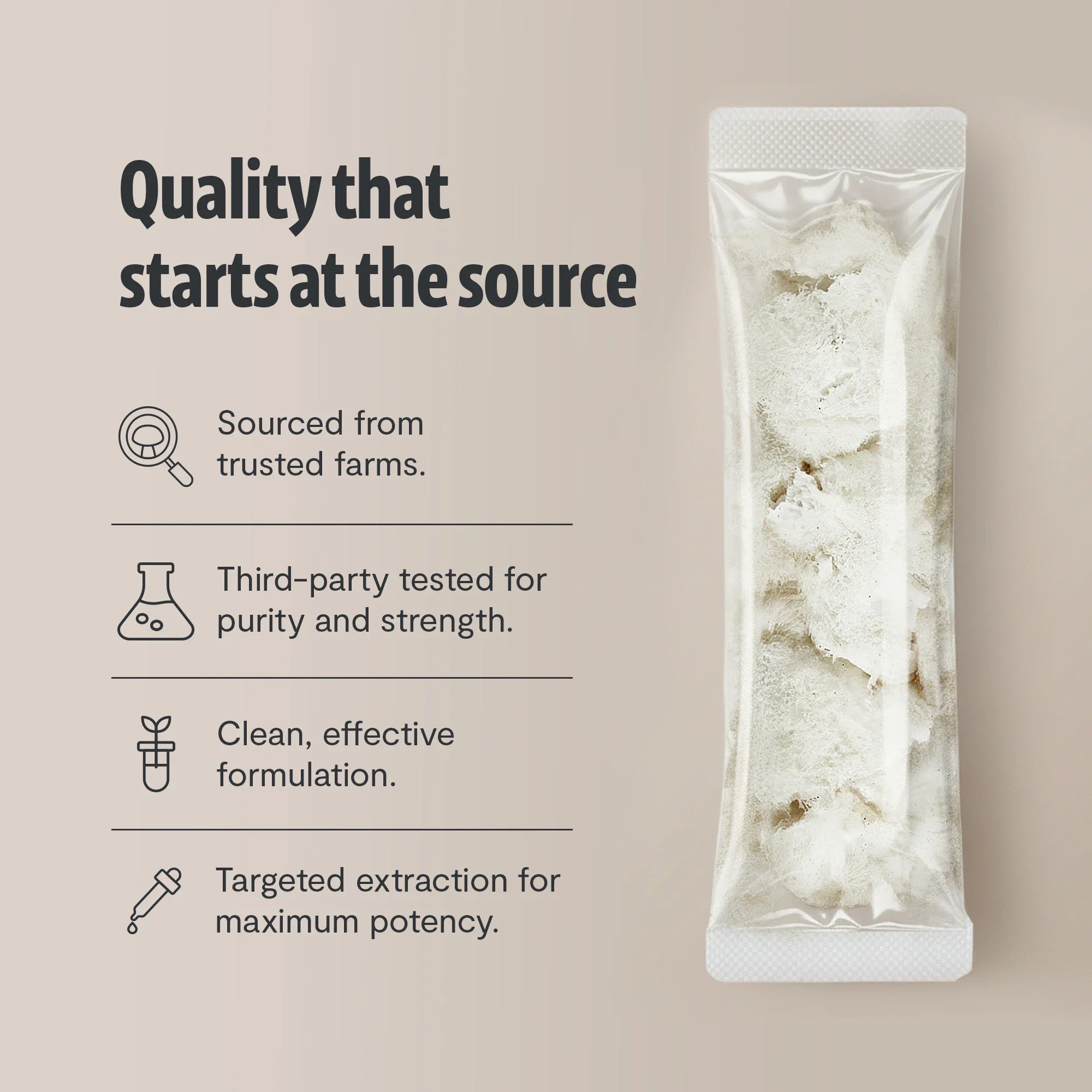 Lion's Mane Mushroom Extract Powder FreshCap Mushrooms