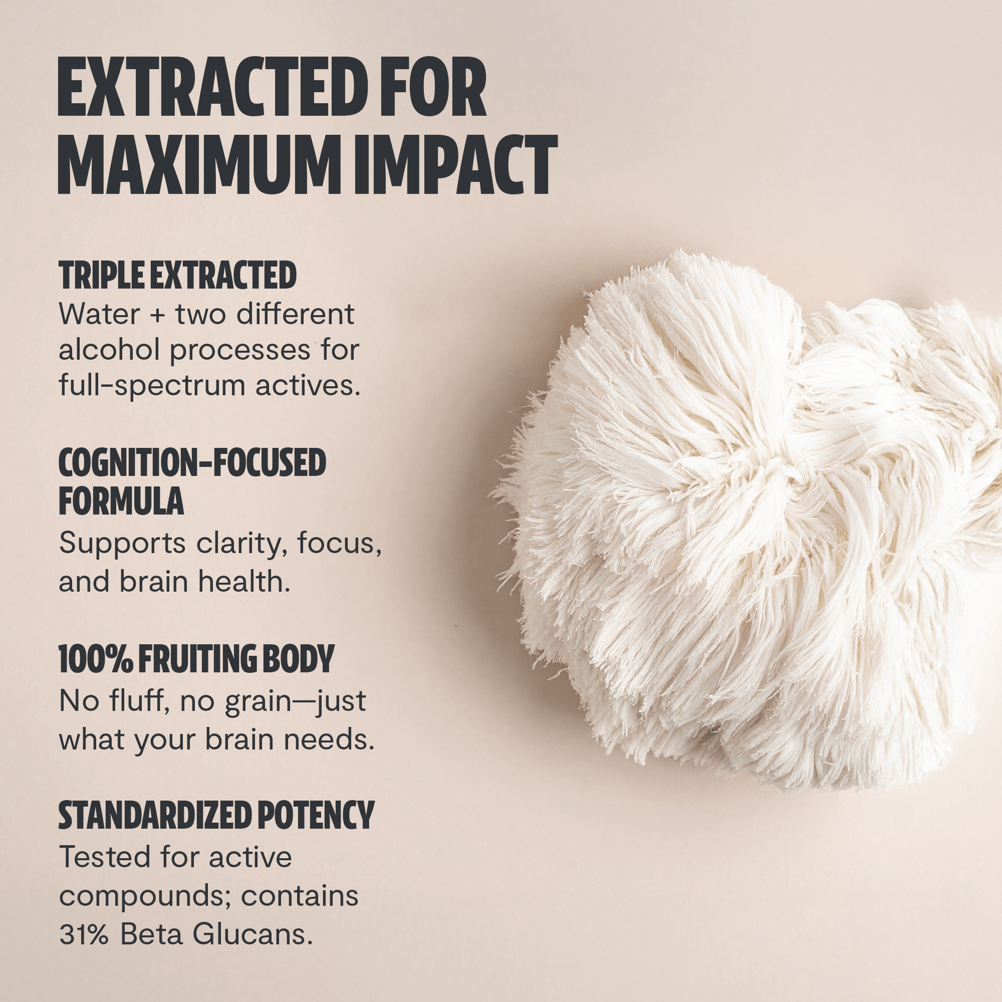 Lion's Mane Mushroom Extract Powder FreshCap Mushrooms