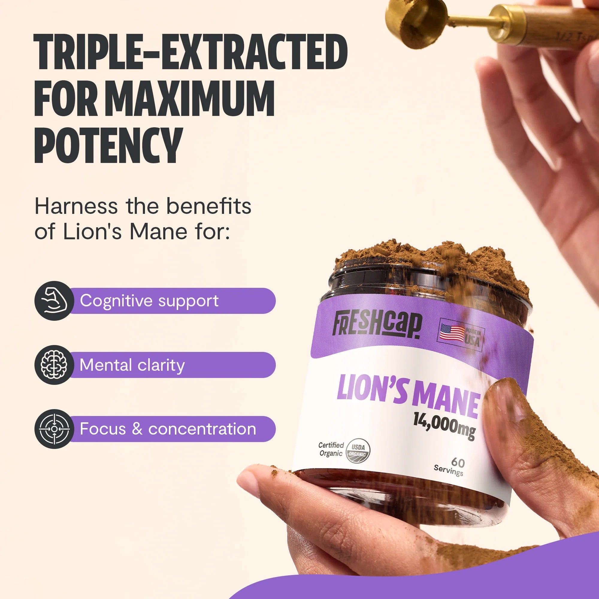 Lion's Mane Mushroom Extract Powder FreshCap Mushrooms