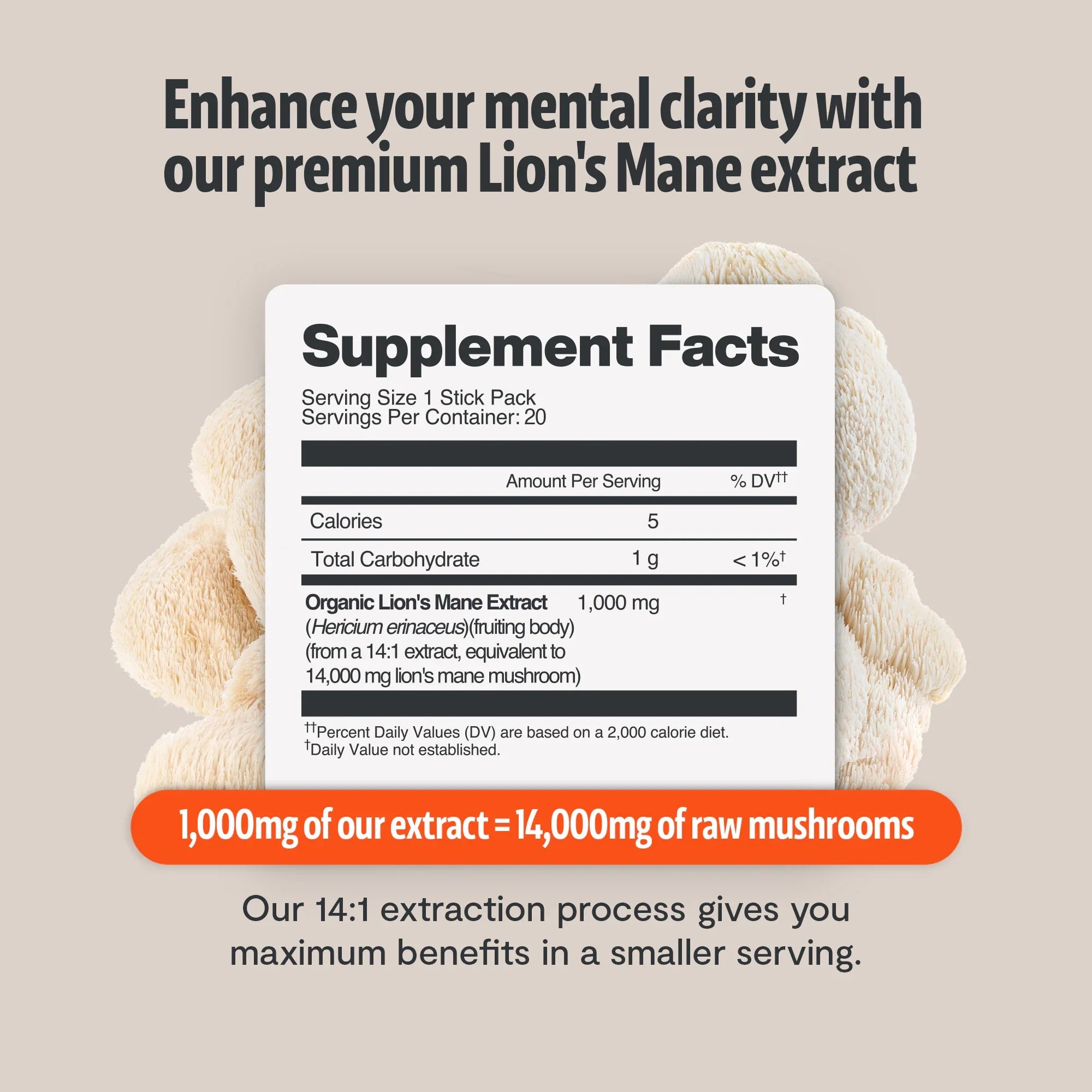 Lion's Mane Mushroom Extract Powder FreshCap Mushrooms
