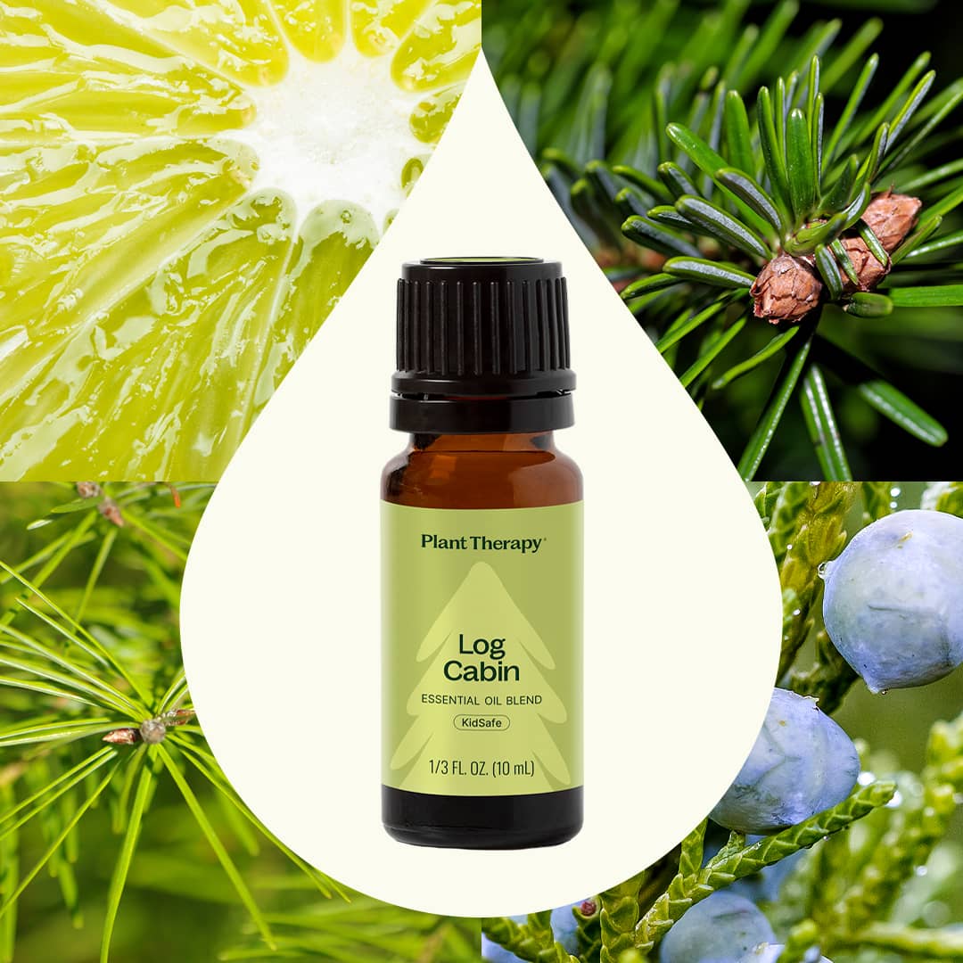 Log Cabin Essential Oil Blend Plant Therapy