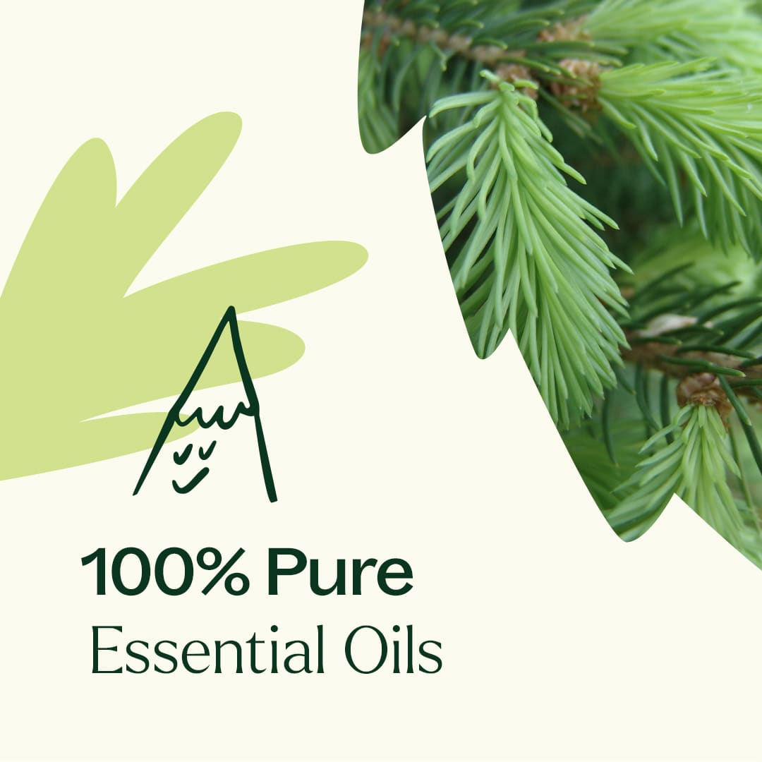 Log Cabin Essential Oil Blend Plant Therapy
