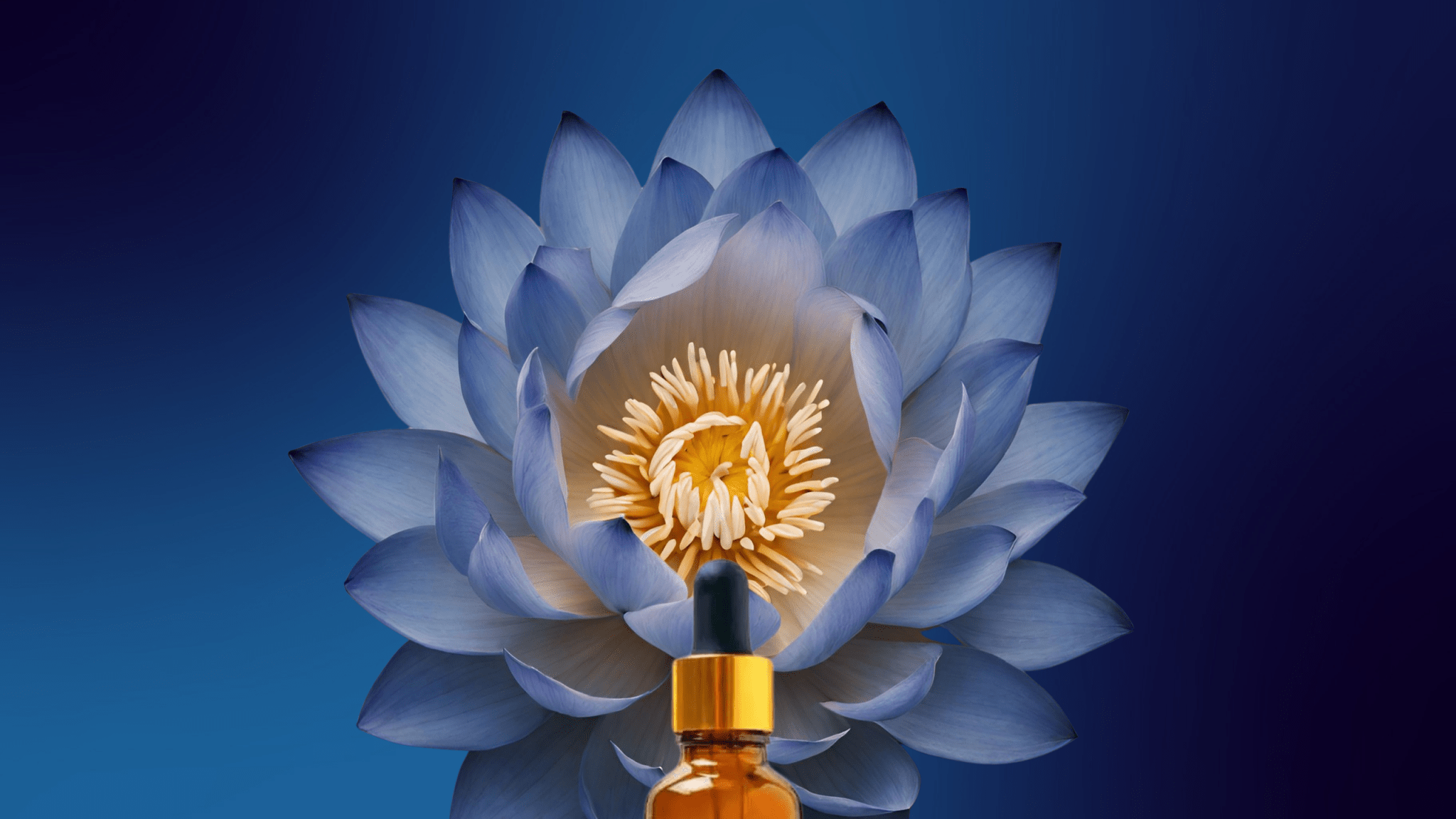 Lucid ✦ Blue Lotus Tincture Altar Native