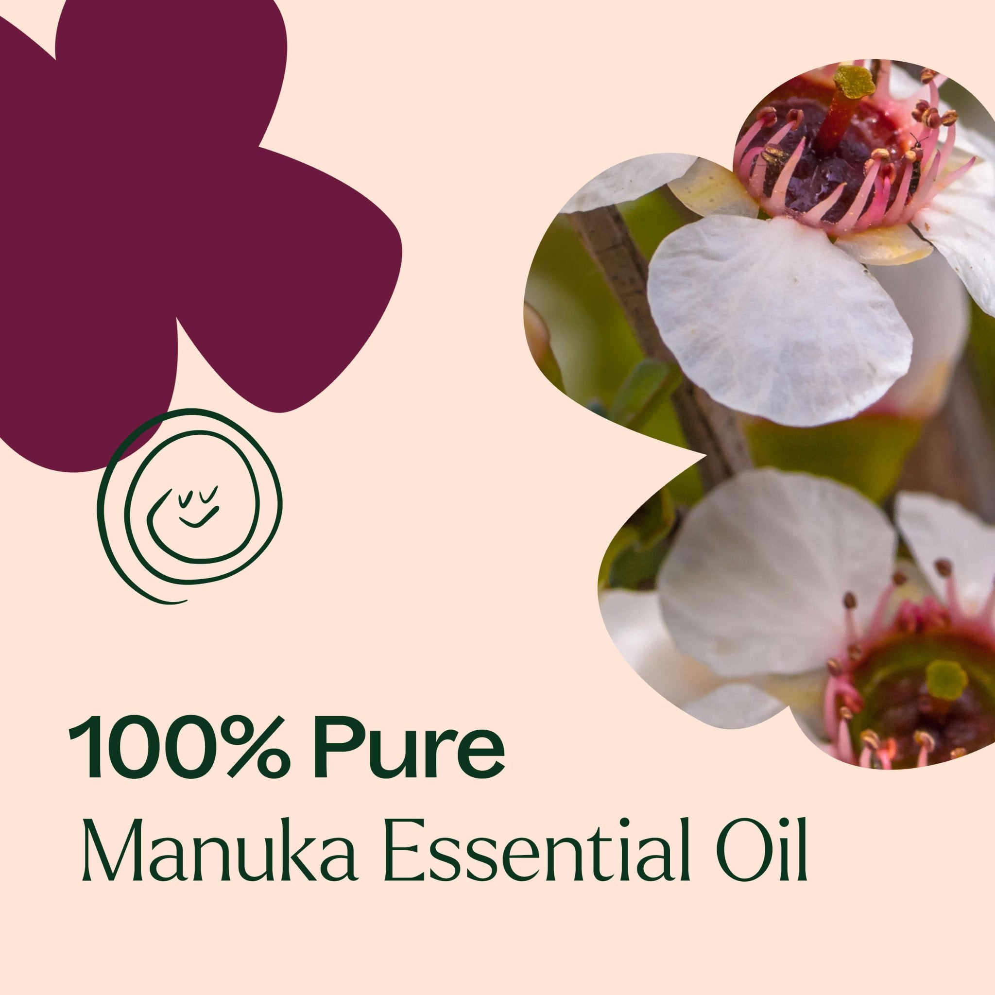 Manuka Essential Oil Plant Therapy