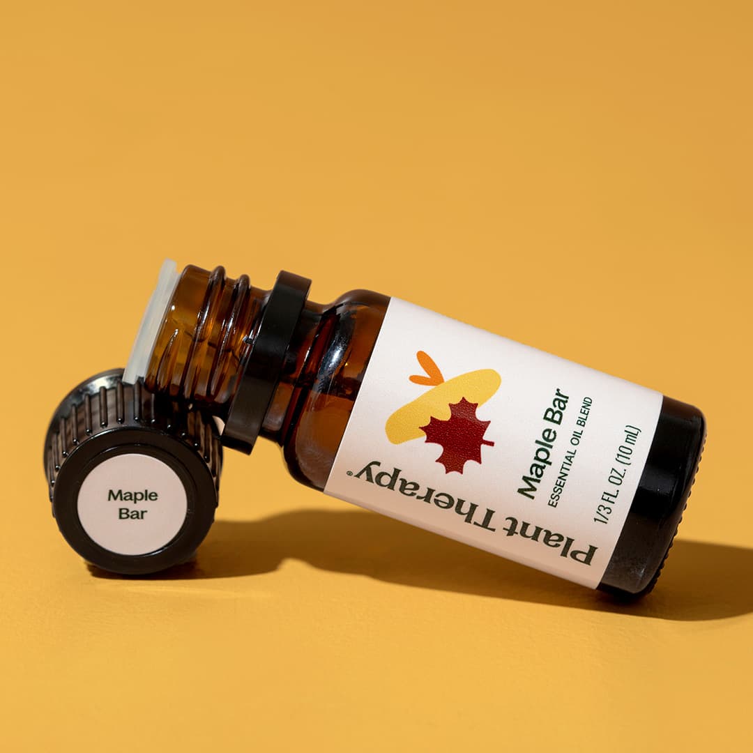 Maple Bar Essential Oil Blend Plant Therapy