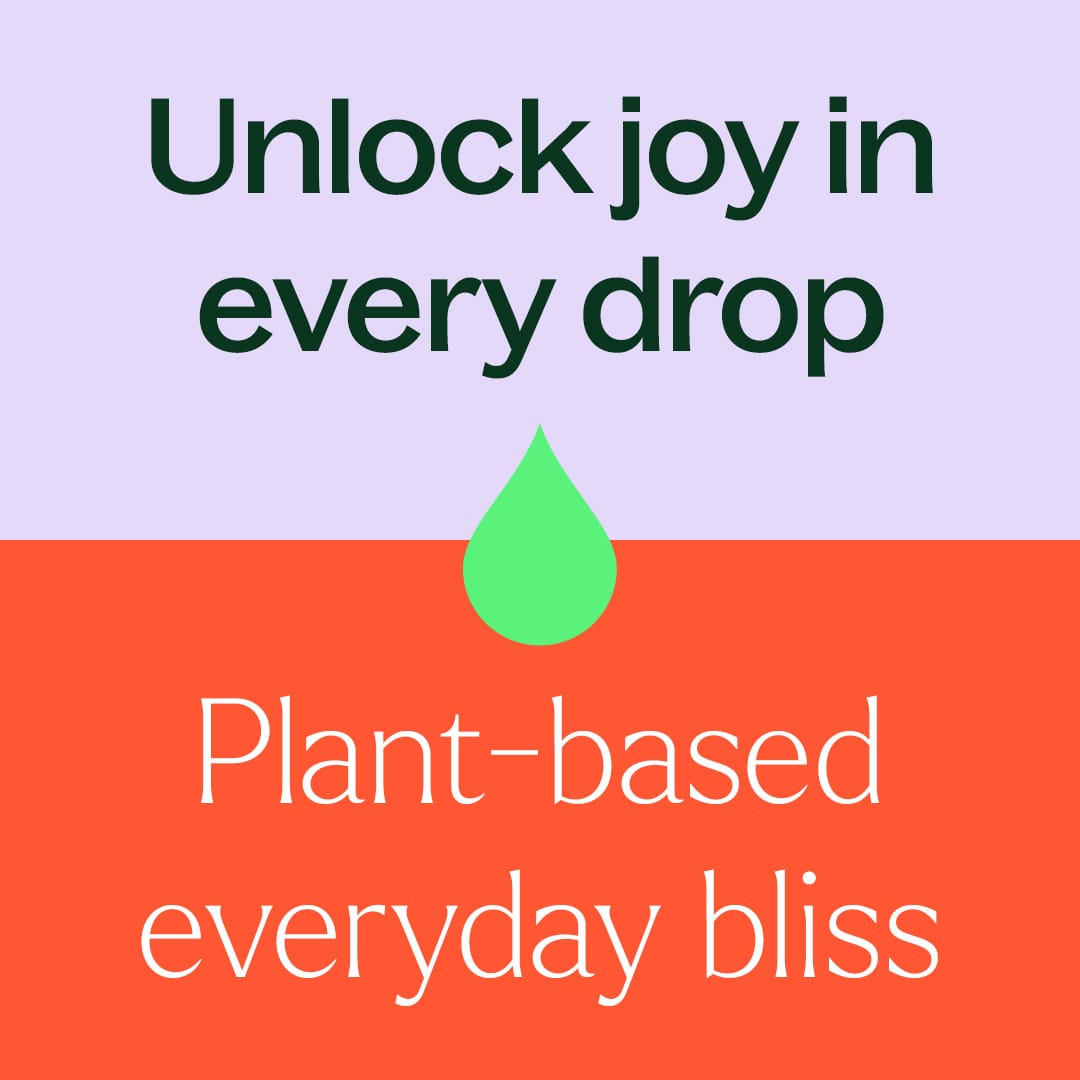 Maple Bar Essential Oil Blend Plant Therapy
