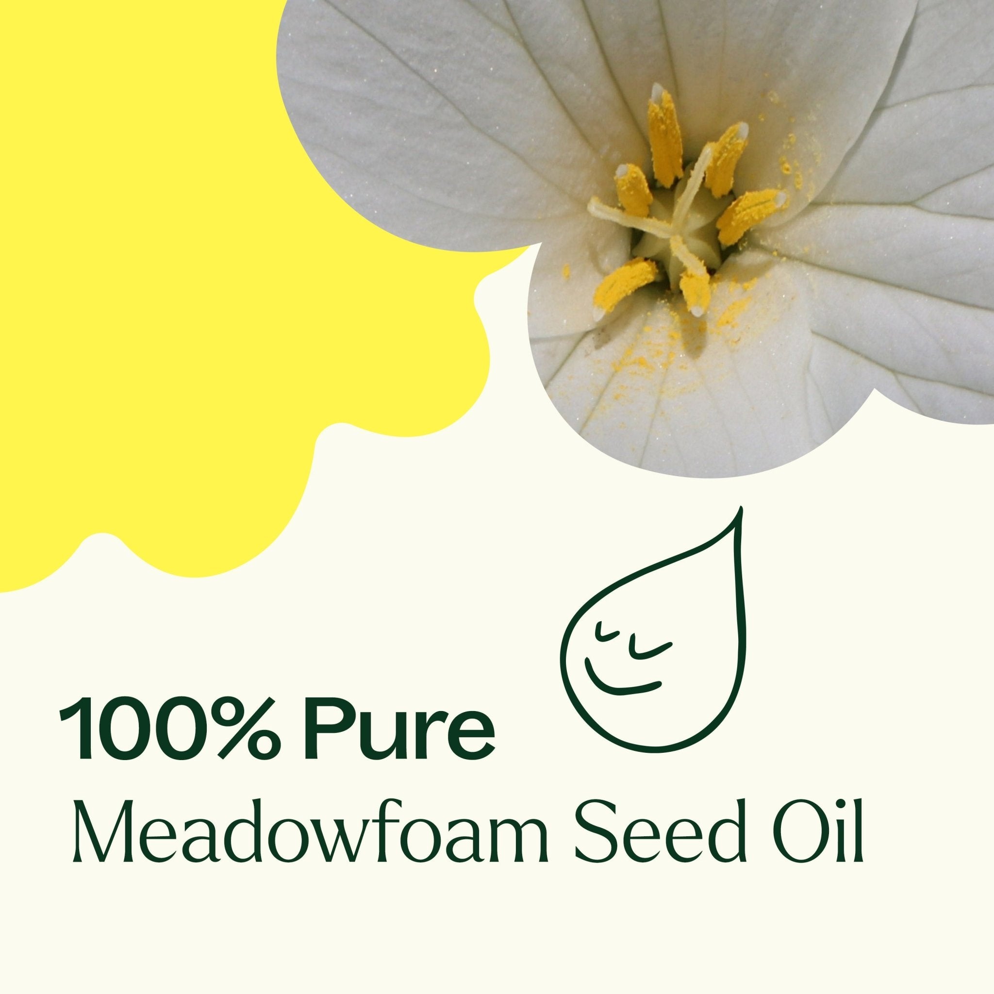 Meadowfoam Carrier Oil Plant Therapy