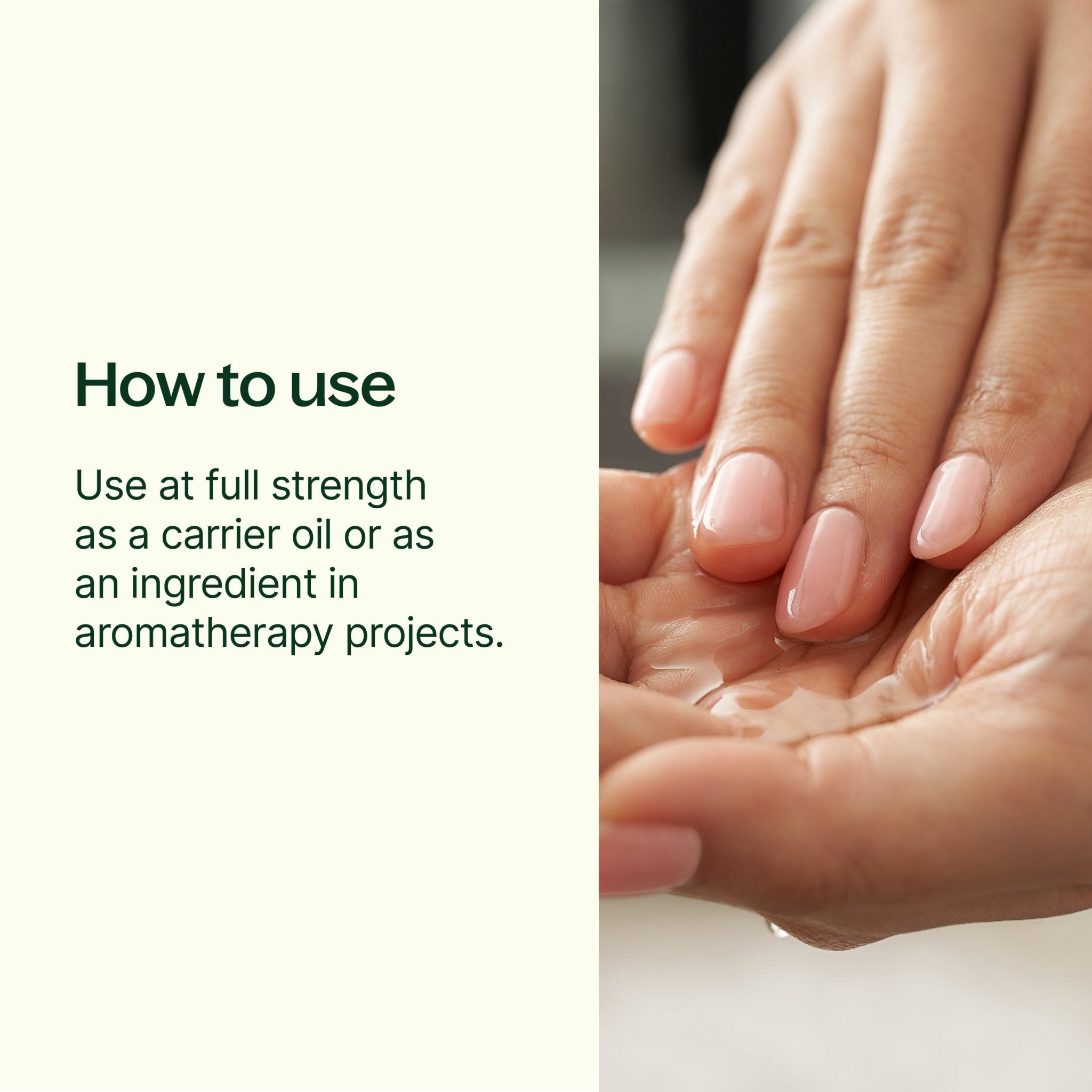 Meadowfoam Carrier Oil Plant Therapy