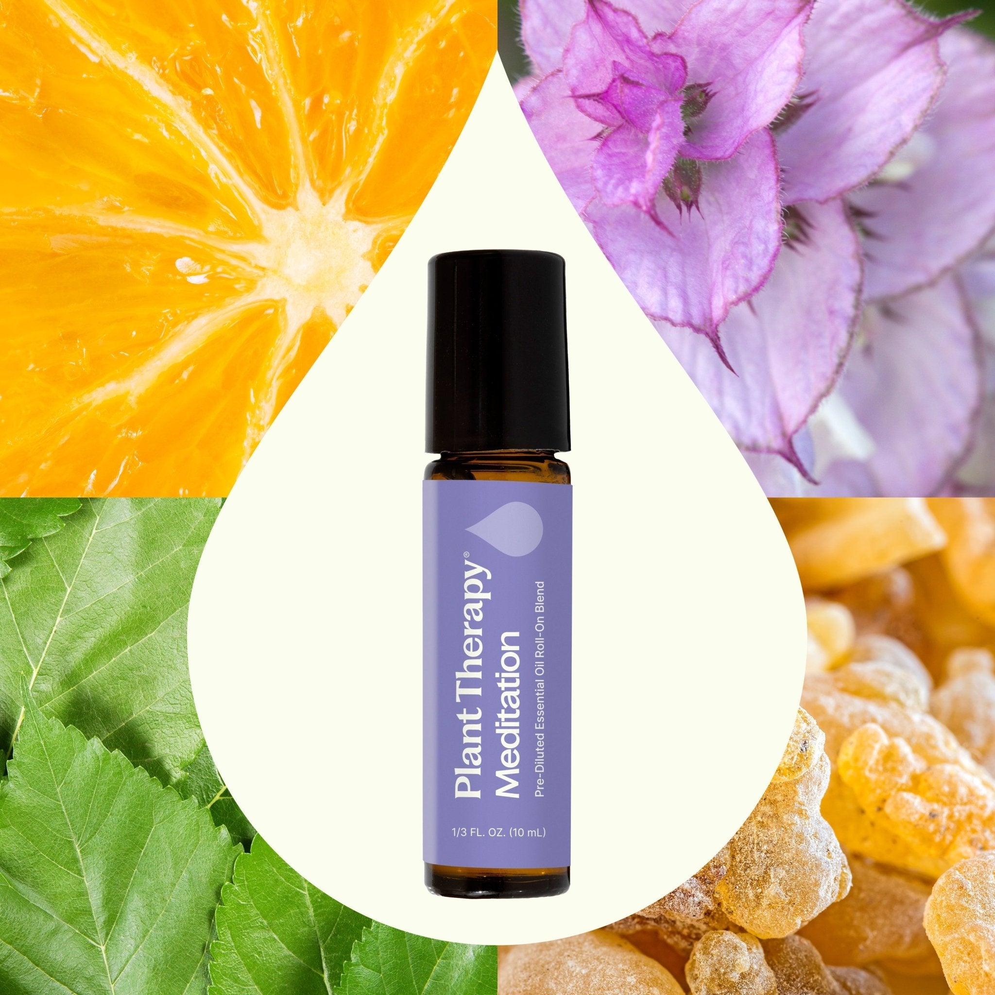 Meditation Essential Oil Blend Pre - Diluted Roll - On Plant Therapy