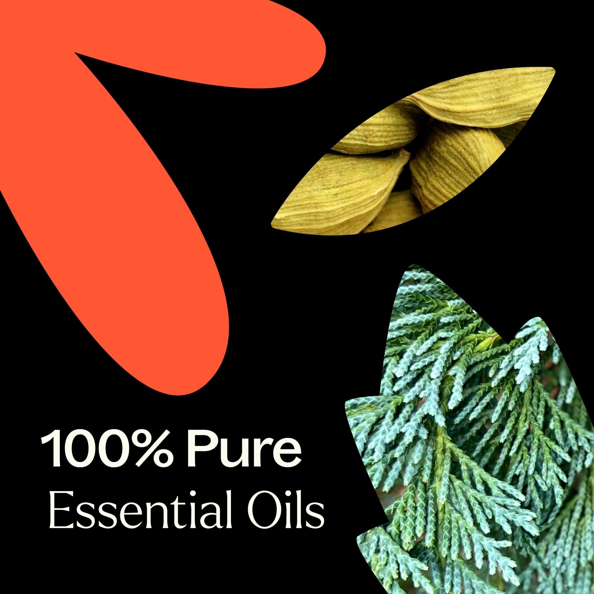 Monster Mash Essential Oil Blend Plant Therapy