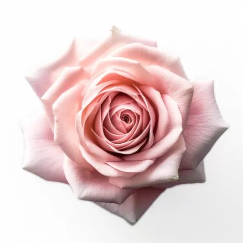 Mood Bloom™ Apothékary