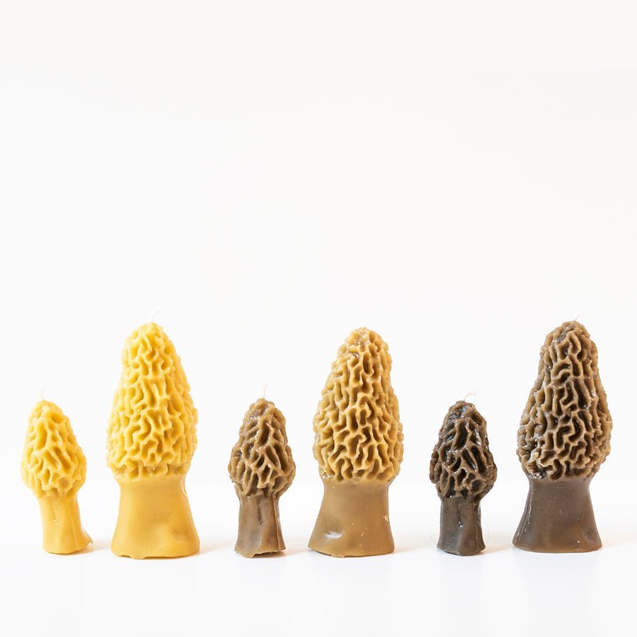 Morel Mushroom Beeswax Candle Happy Organics