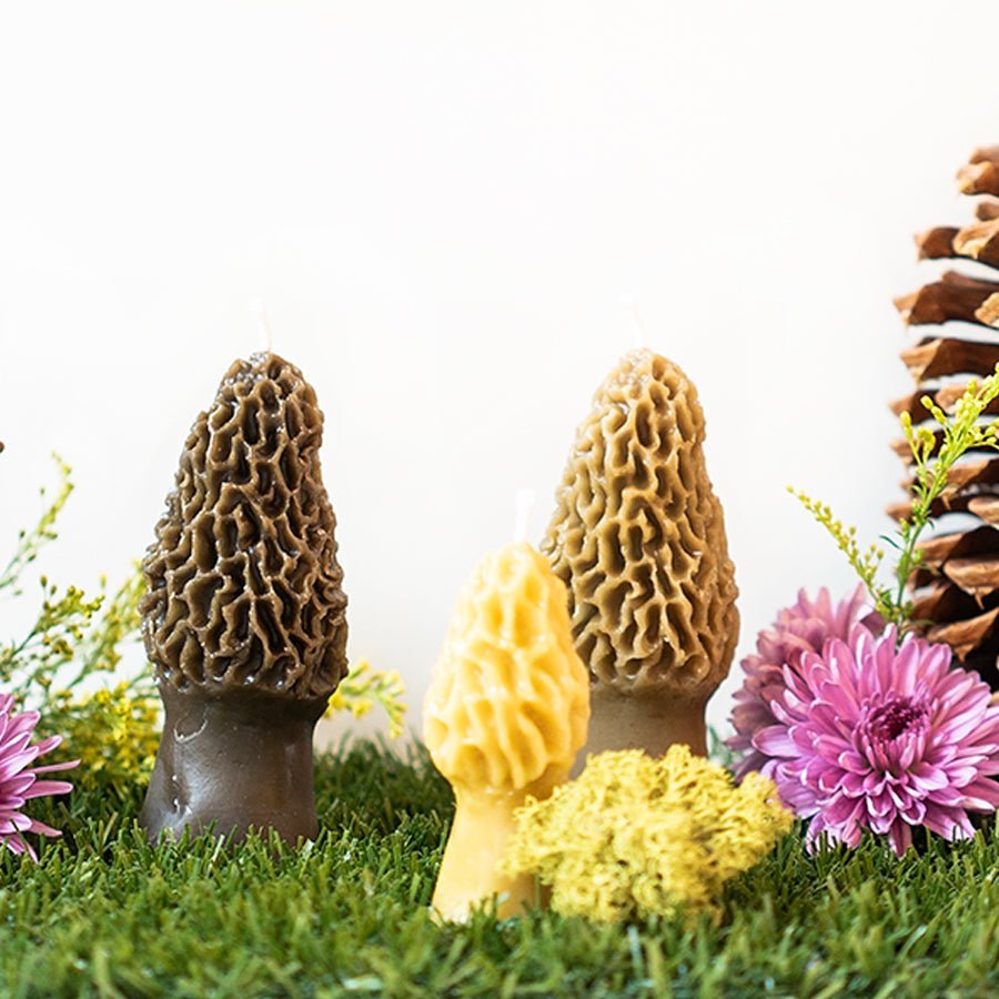 Morel Mushroom Beeswax Candle Happy Organics