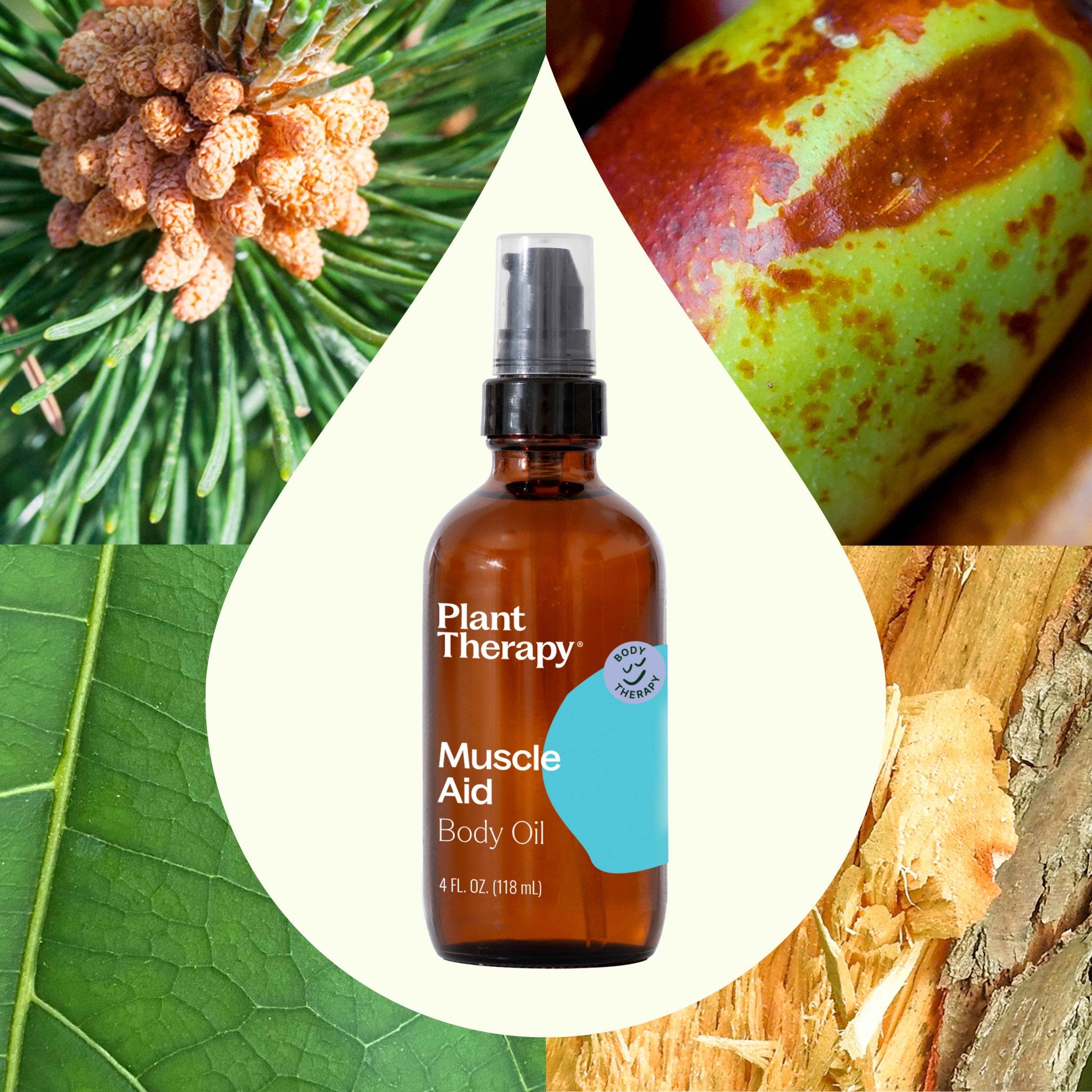Muscle Aid Body Oil Plant Therapy