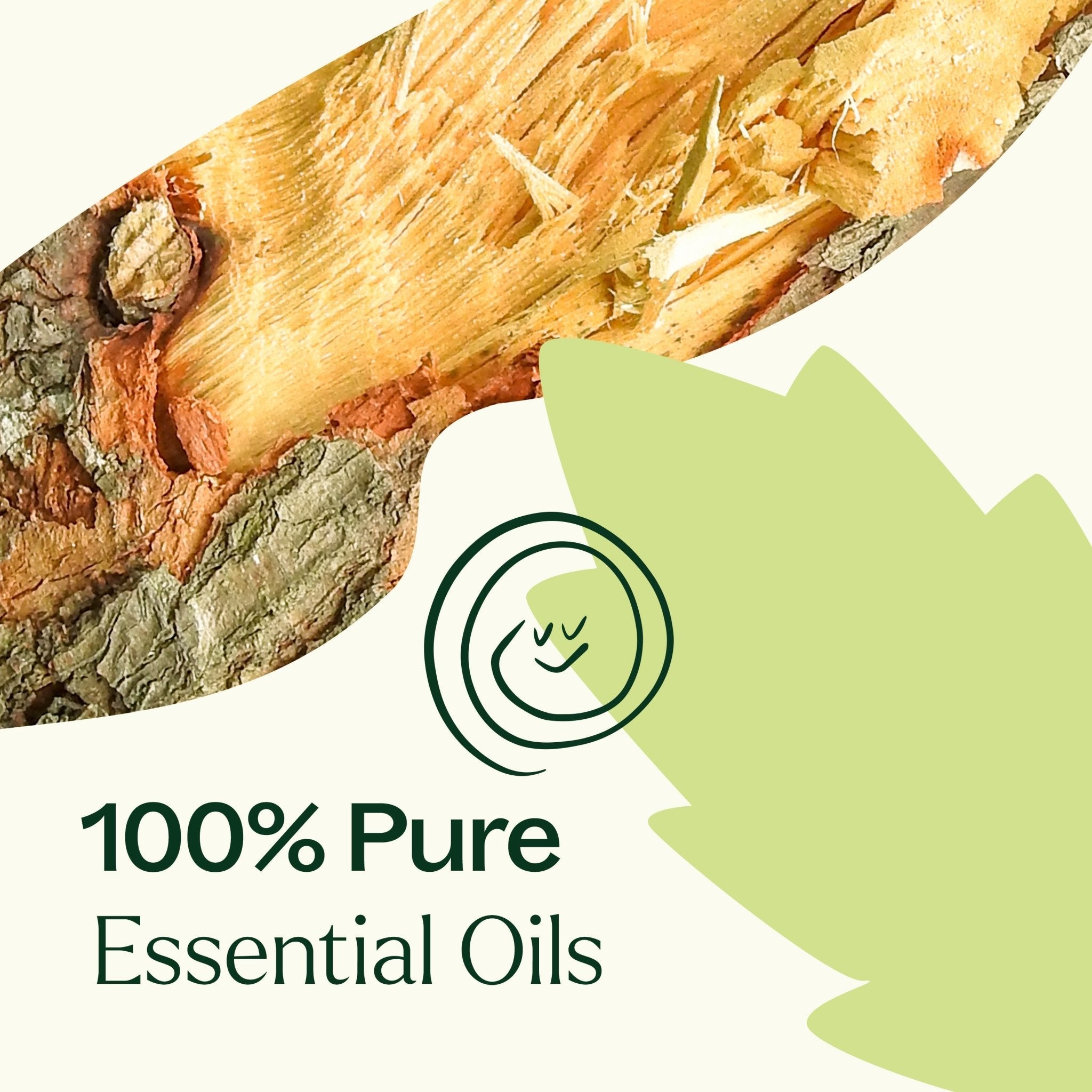 Muscle Aid Essential Oil Blend Plant Therapy
