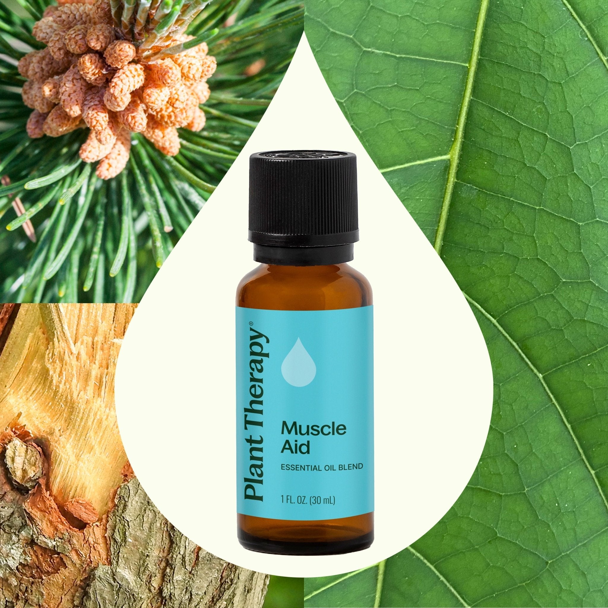 Muscle Aid Essential Oil Blend Plant Therapy