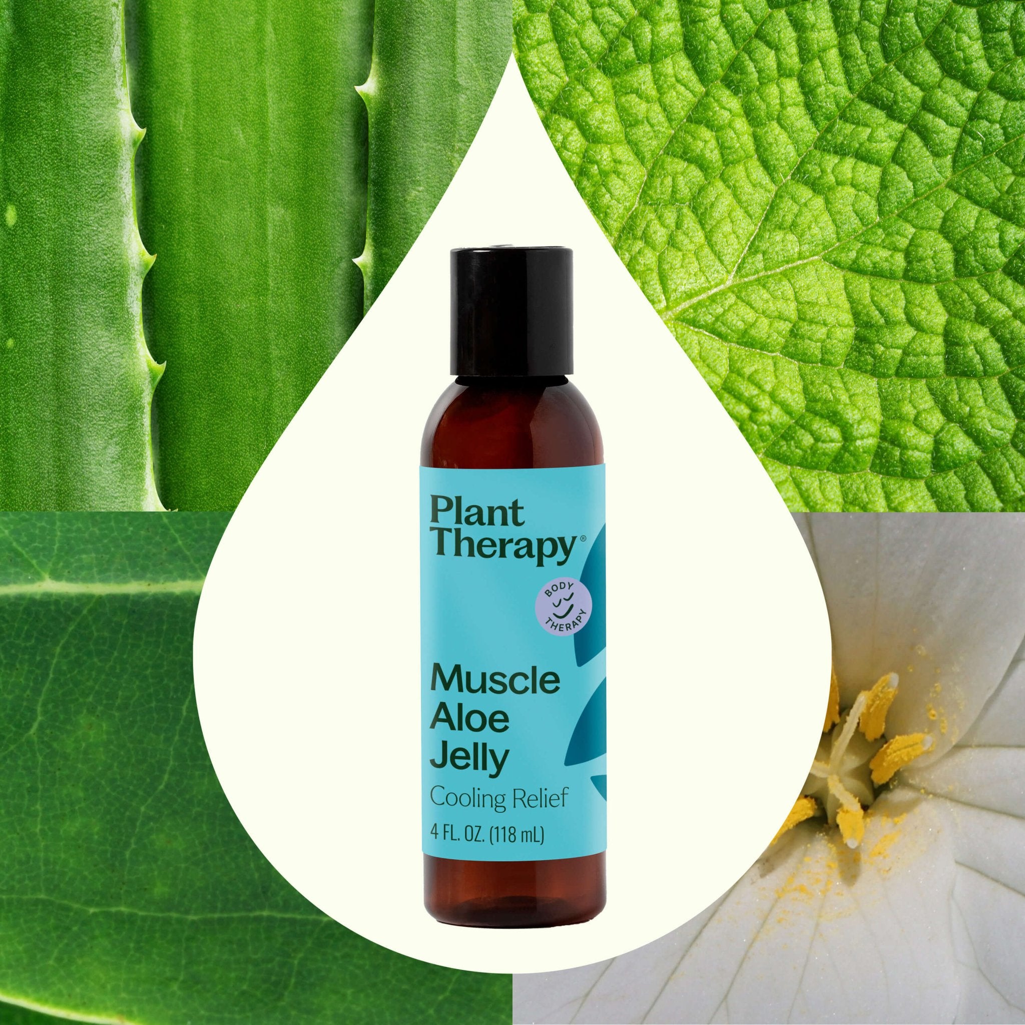 Muscle Aloe Jelly Plant Therapy