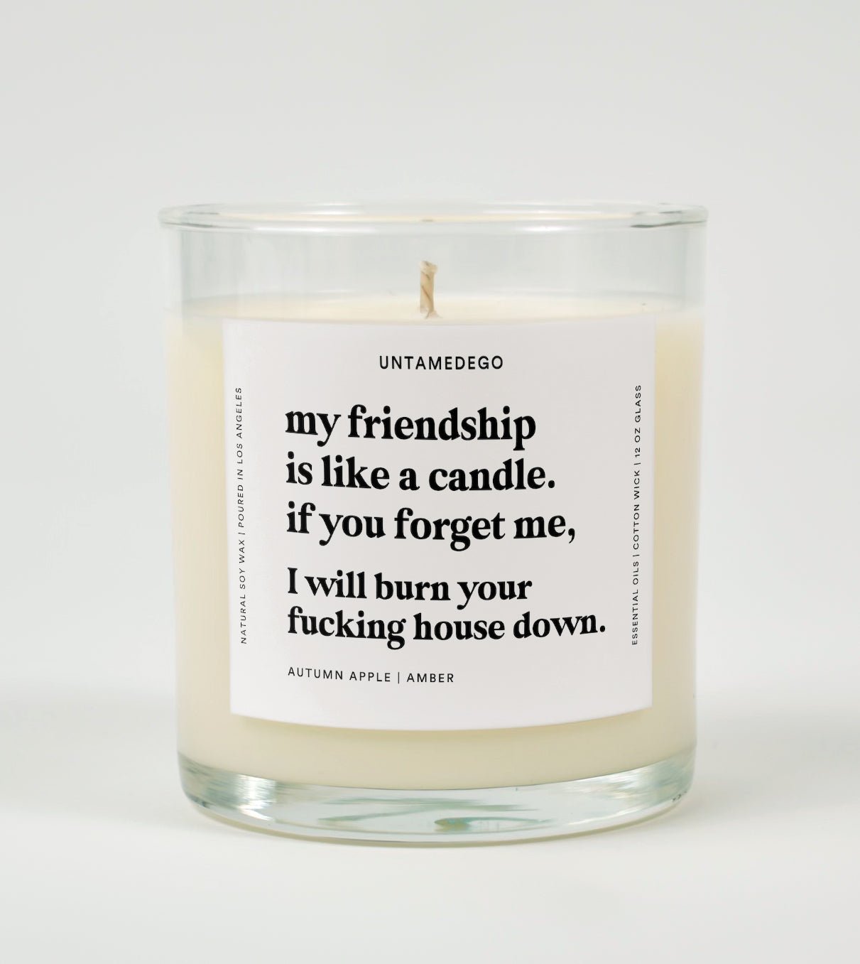 My Friendship Is Like A Candle Glass Candle UntamedEgo LLC.