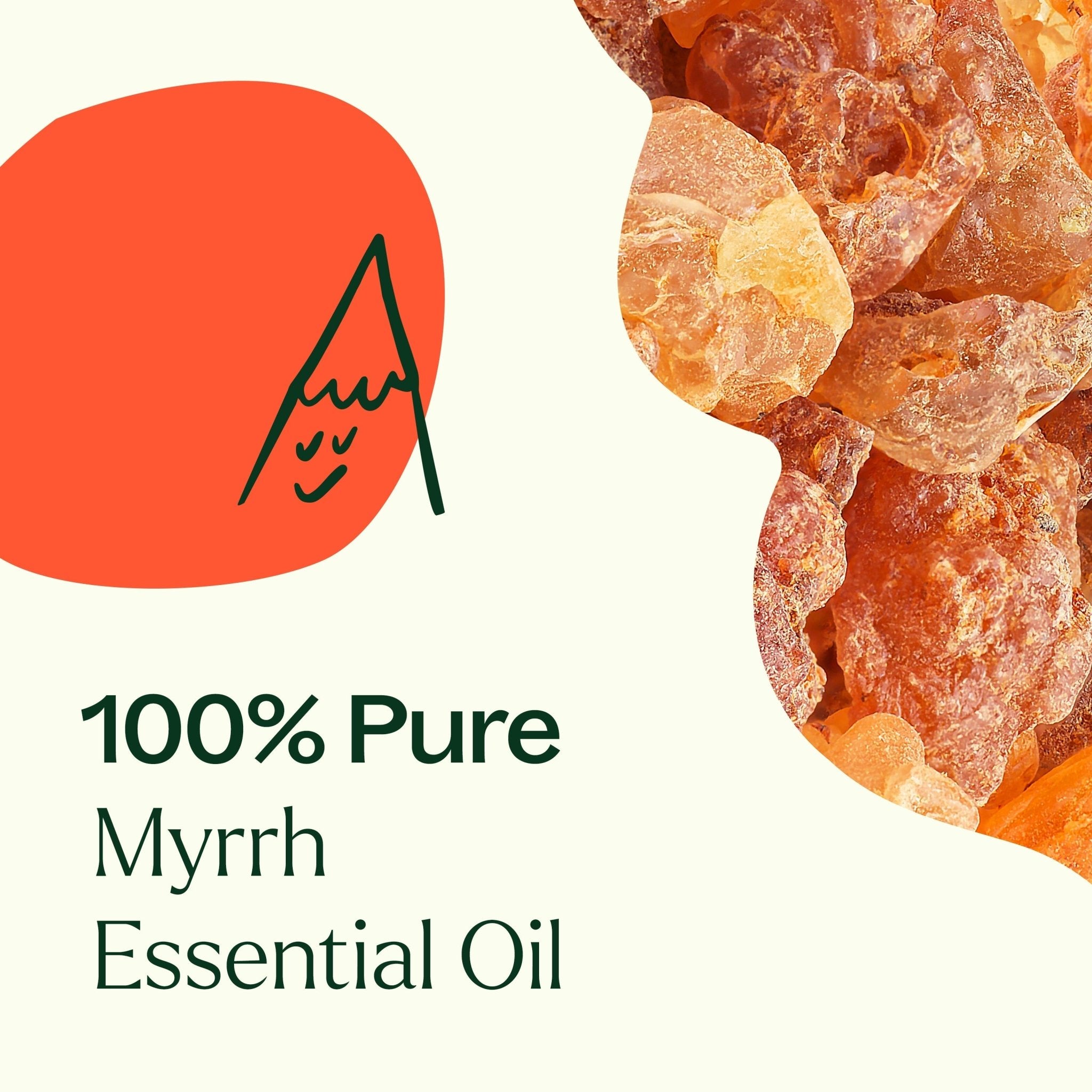 Myrrh Essential Oil Plant Therapy