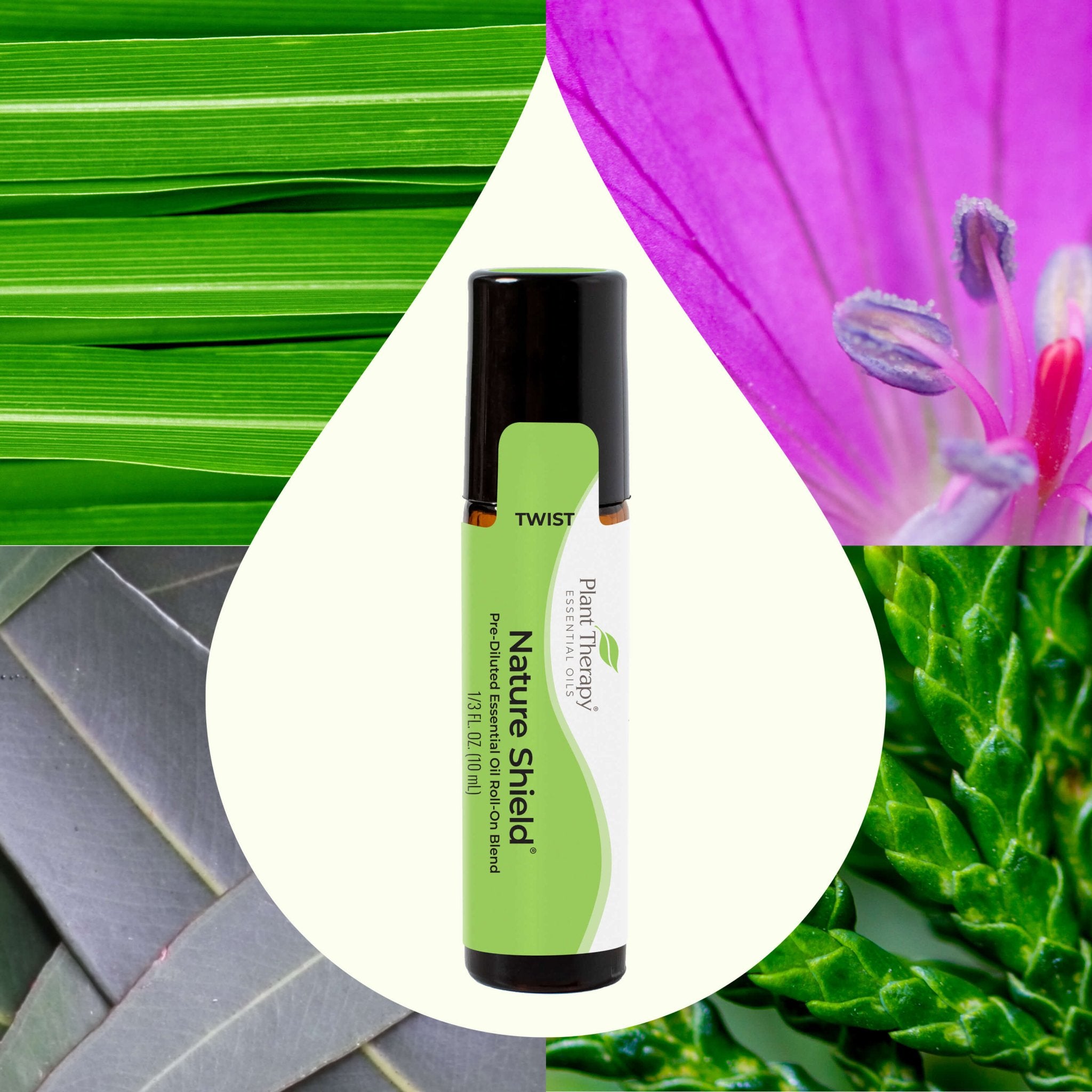 Nature Shield Essential Oil Blend Pre - Diluted Roll - On Plant Therapy