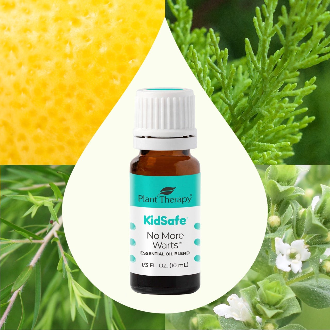 No More Warts KidSafe Essential Oil Plant Therapy