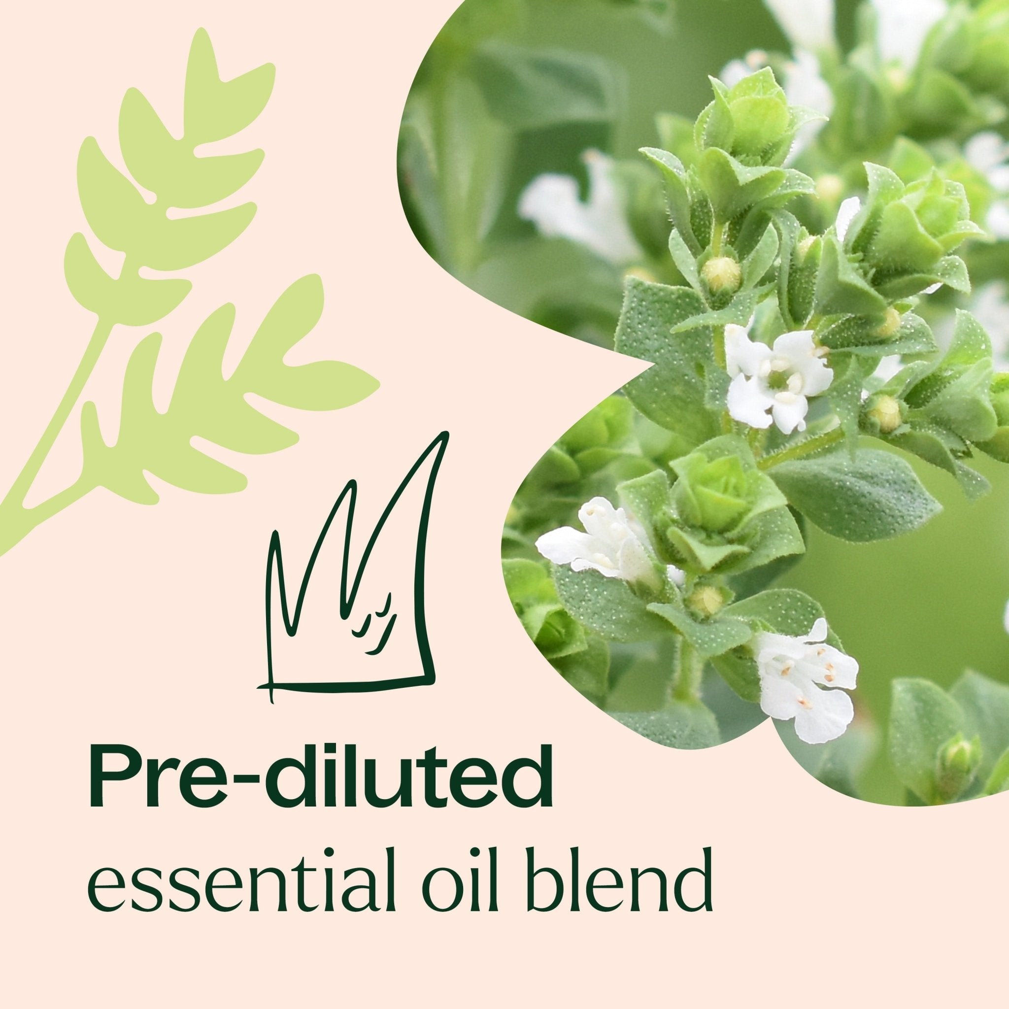 No More Warts KidSafe Essential Oil Pre - Diluted Roll - On Plant Therapy