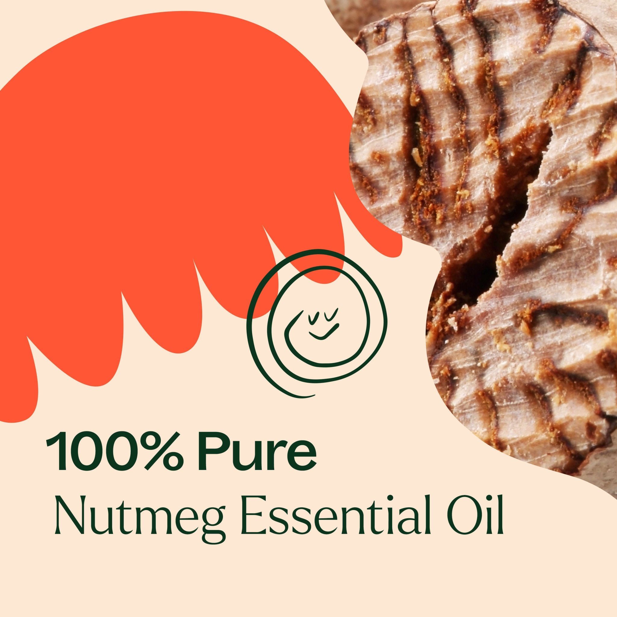 Nutmeg Essential Oil Plant Therapy