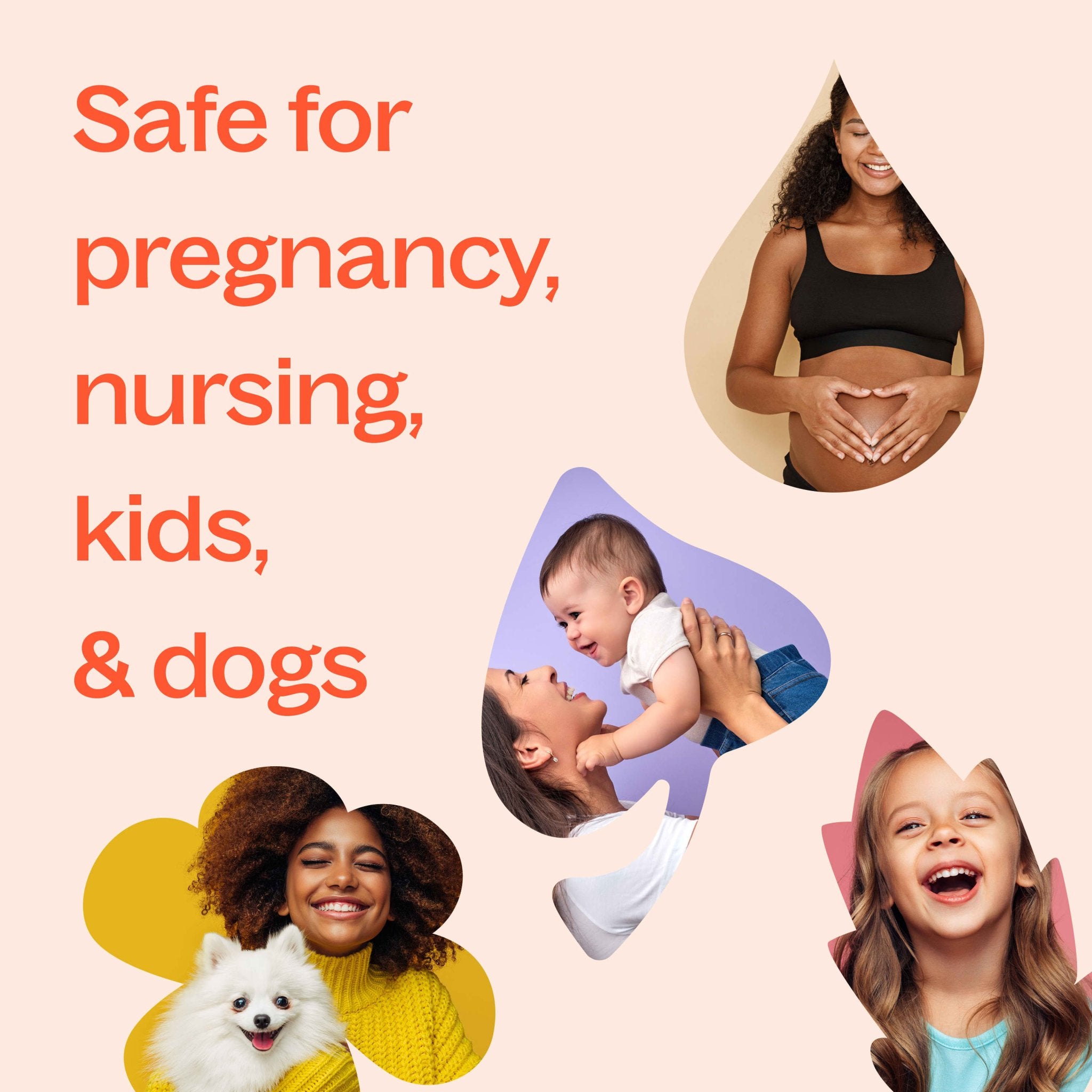 Orange Essence Oil Plant Therapy