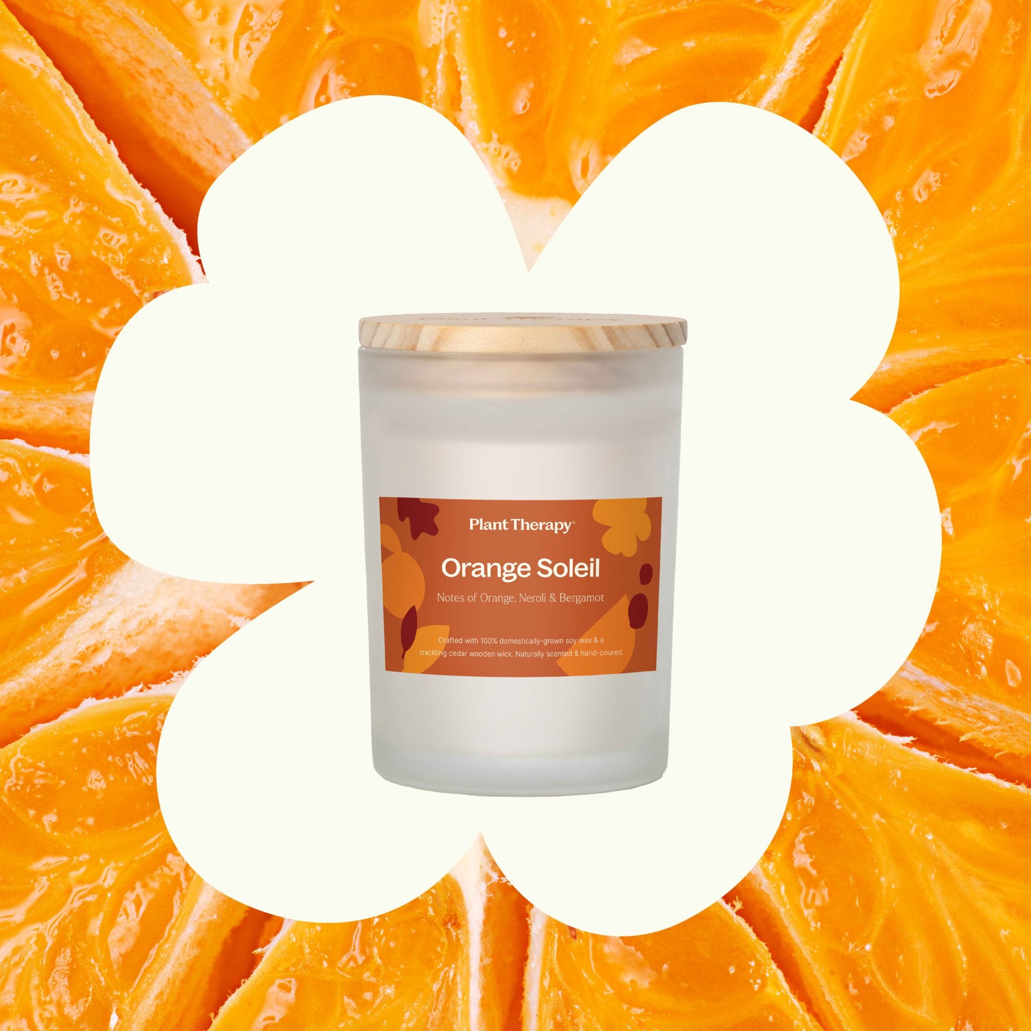 Orange Soleil Naturally Scented Candle Plant Therapy