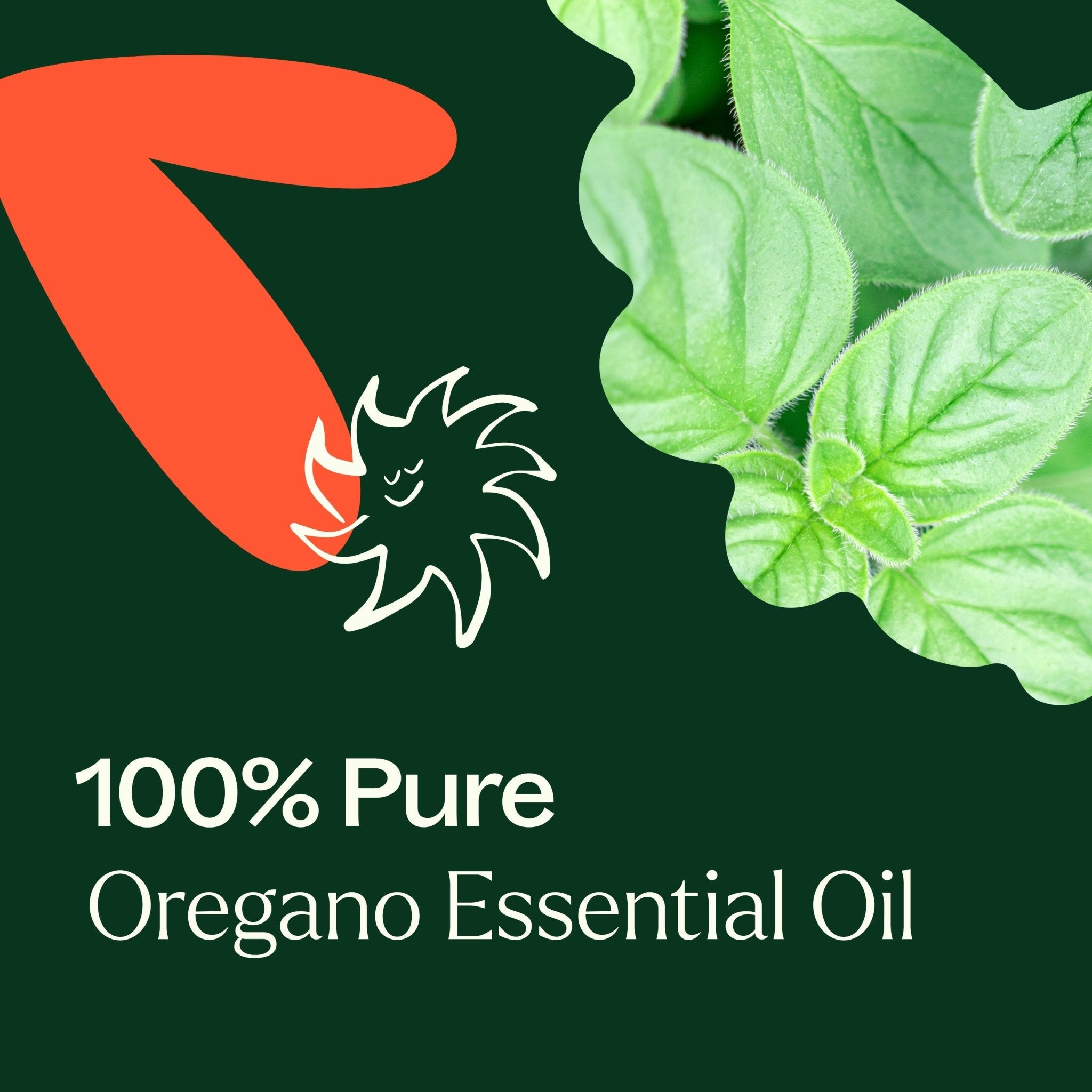 Oregano Essential Oil Plant Therapy