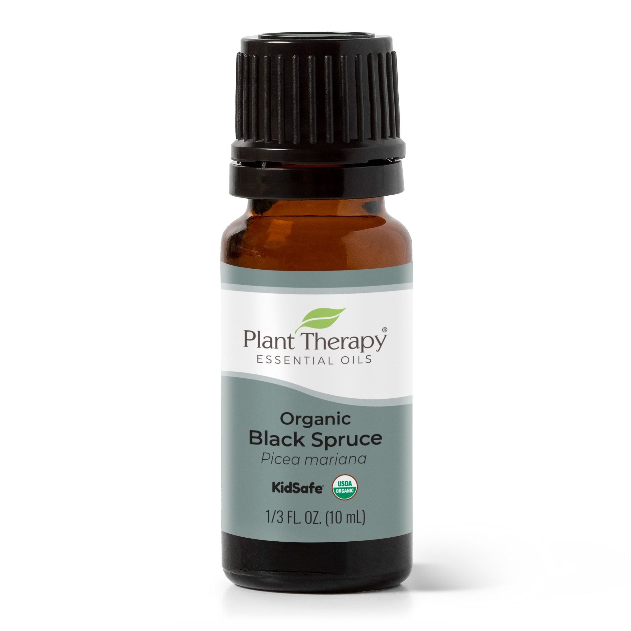 Organic Black Spruce Essential Oil Plant Therapy