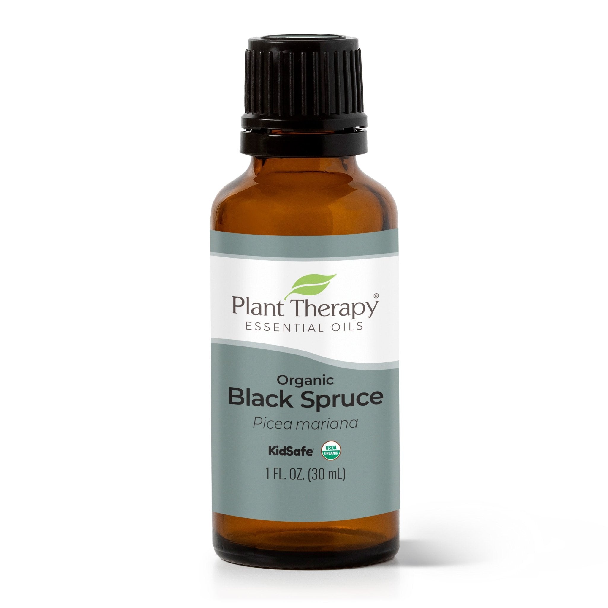Organic Black Spruce Essential Oil Plant Therapy