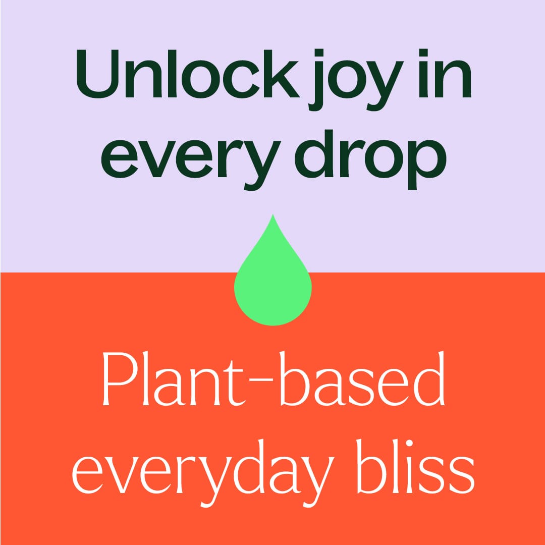 Organic Black Spruce Essential Oil Plant Therapy