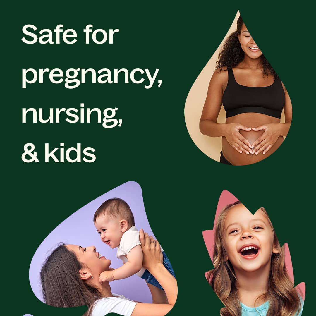 Organic Black Spruce Essential Oil Plant Therapy