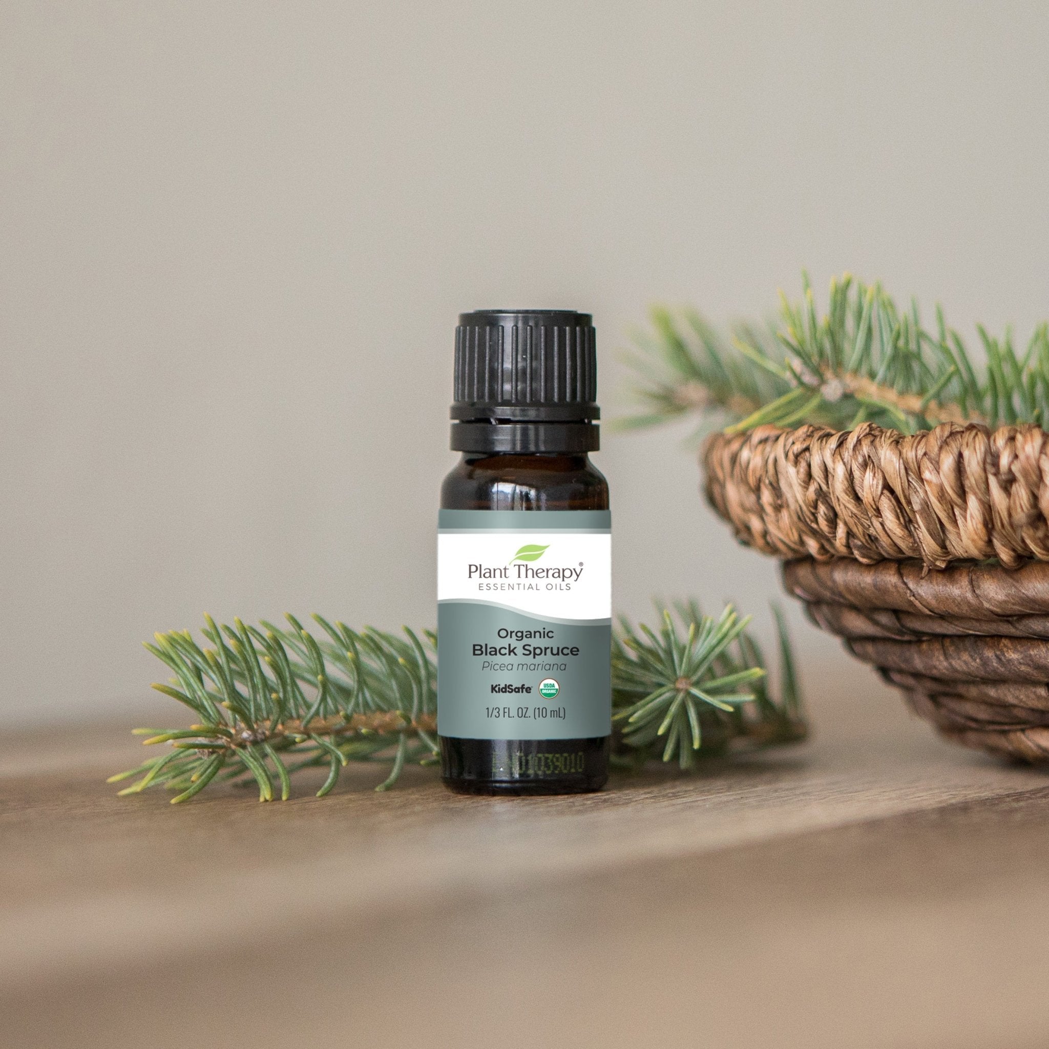 Organic Black Spruce Essential Oil Plant Therapy